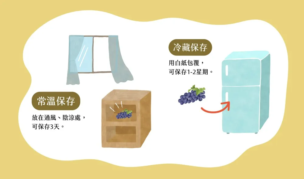 葡萄保存方法。（圖／取自食農教育資訊整合平台）