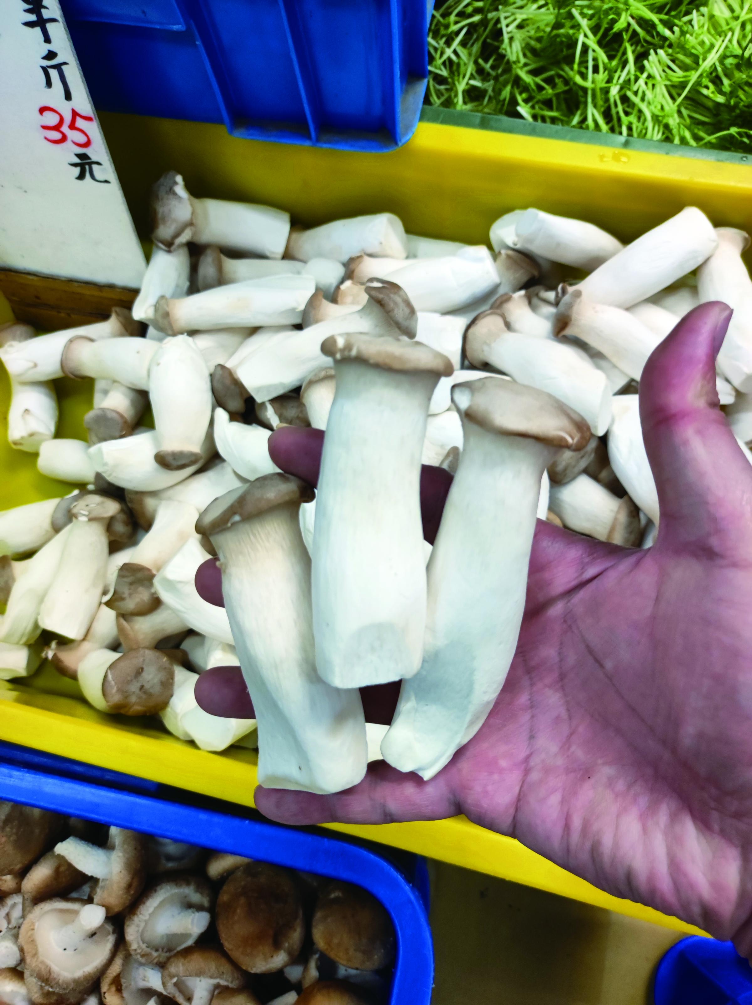 杏鮑菇。（圖／晴好出版提供）