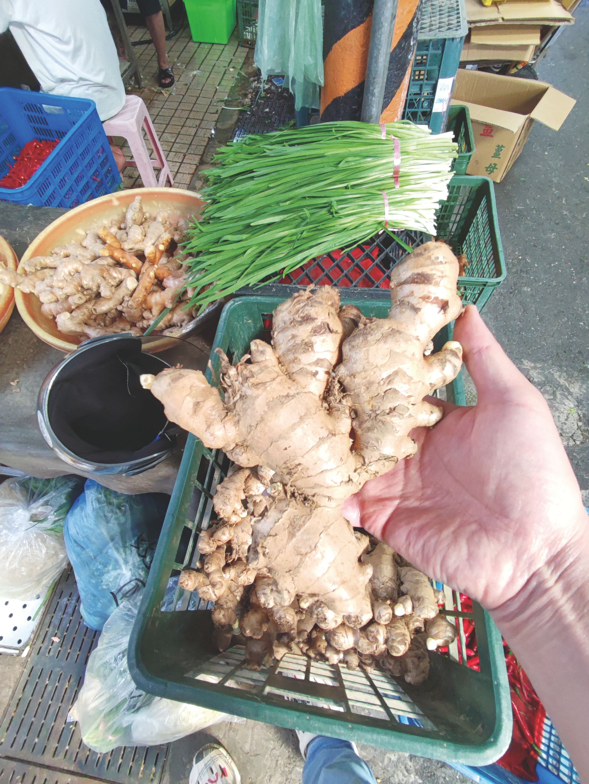 薑。（圖／晴好出版提供）