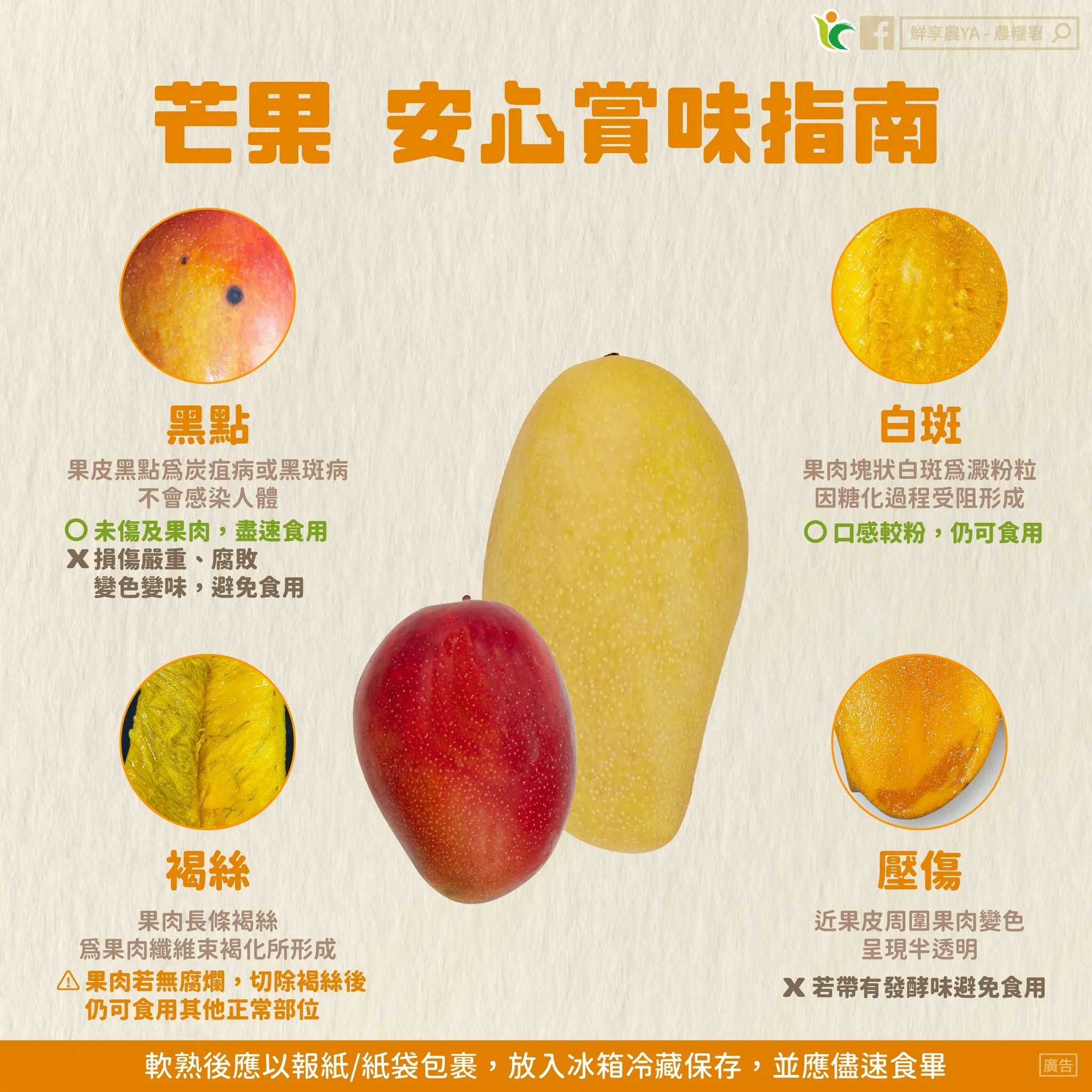 芒果出現黑點、白斑、褐絲、壓傷可以吃嗎？（圖／取自農糧署臉書）