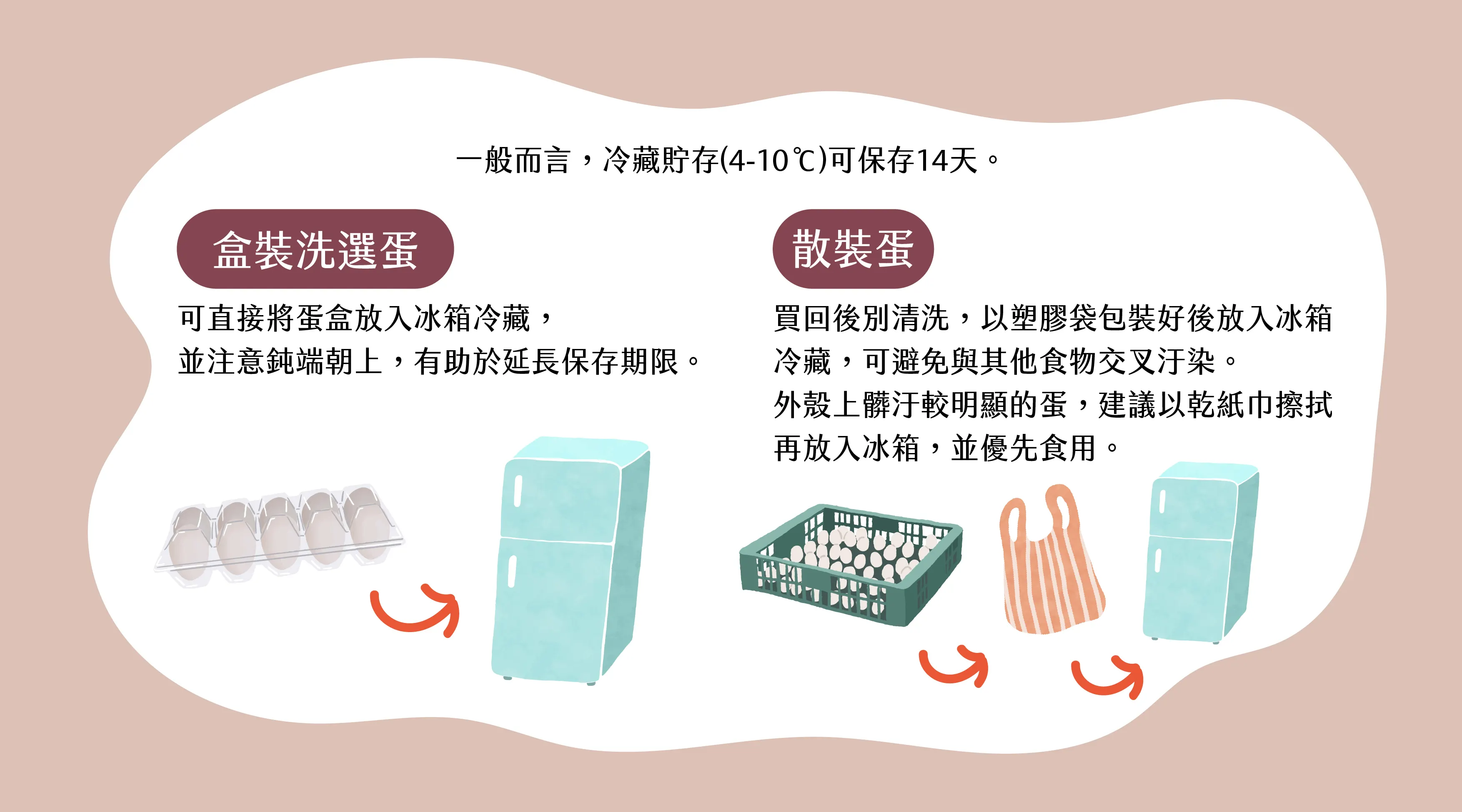 雞蛋保存方法。（圖／取自食農教育資訊整合平台）