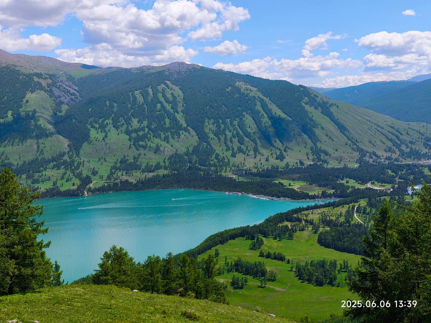 新疆喀納斯山林美景媲美歐洲瑞士。（陳嫺容提供）