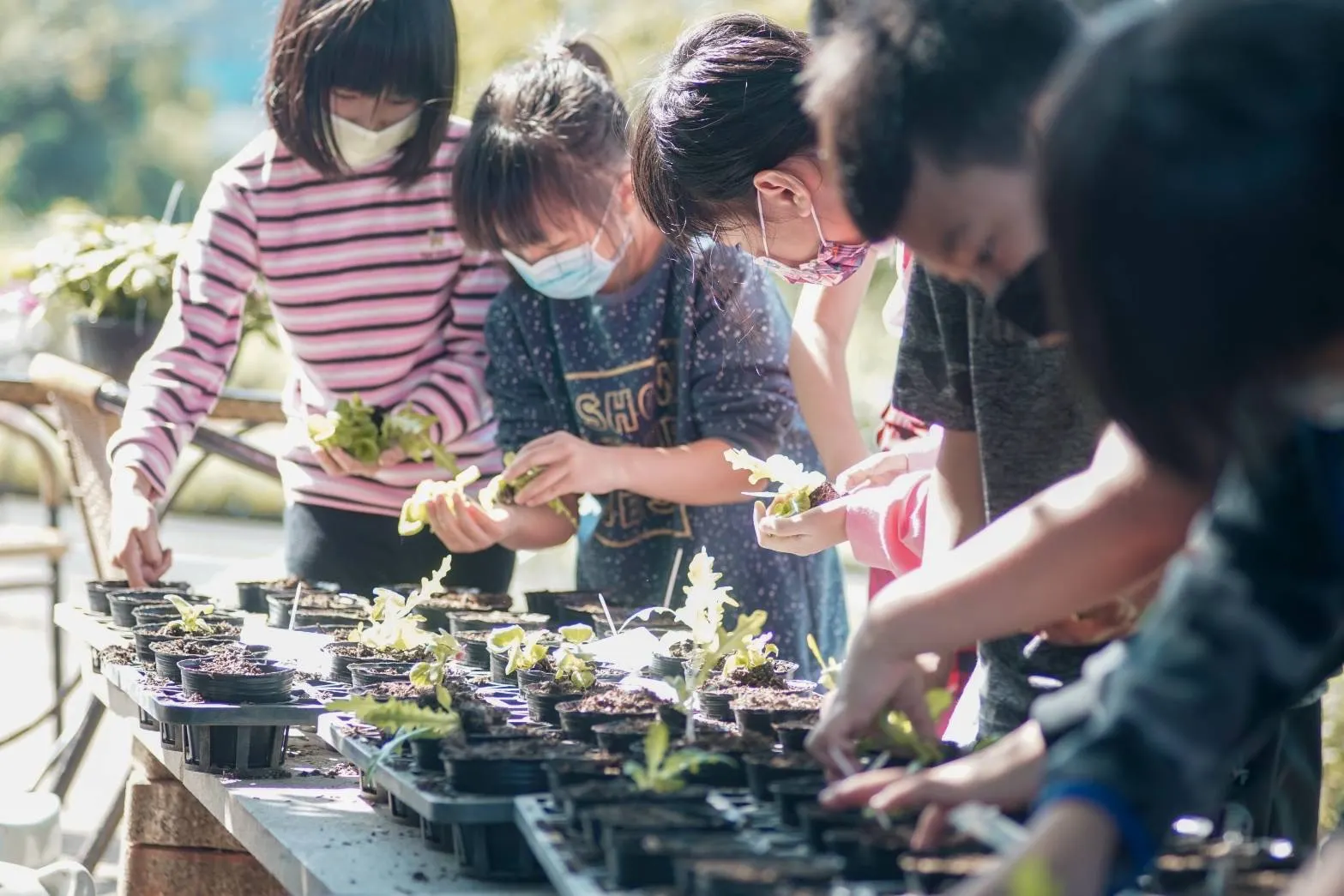 「山腳秀嵋園藝」帶大家運用回收舊玻璃容器，透過簡單步驟與創意搭配，將可愛的多肉植物種進透明玻璃瓶中。(圖/新北市政府文化局)