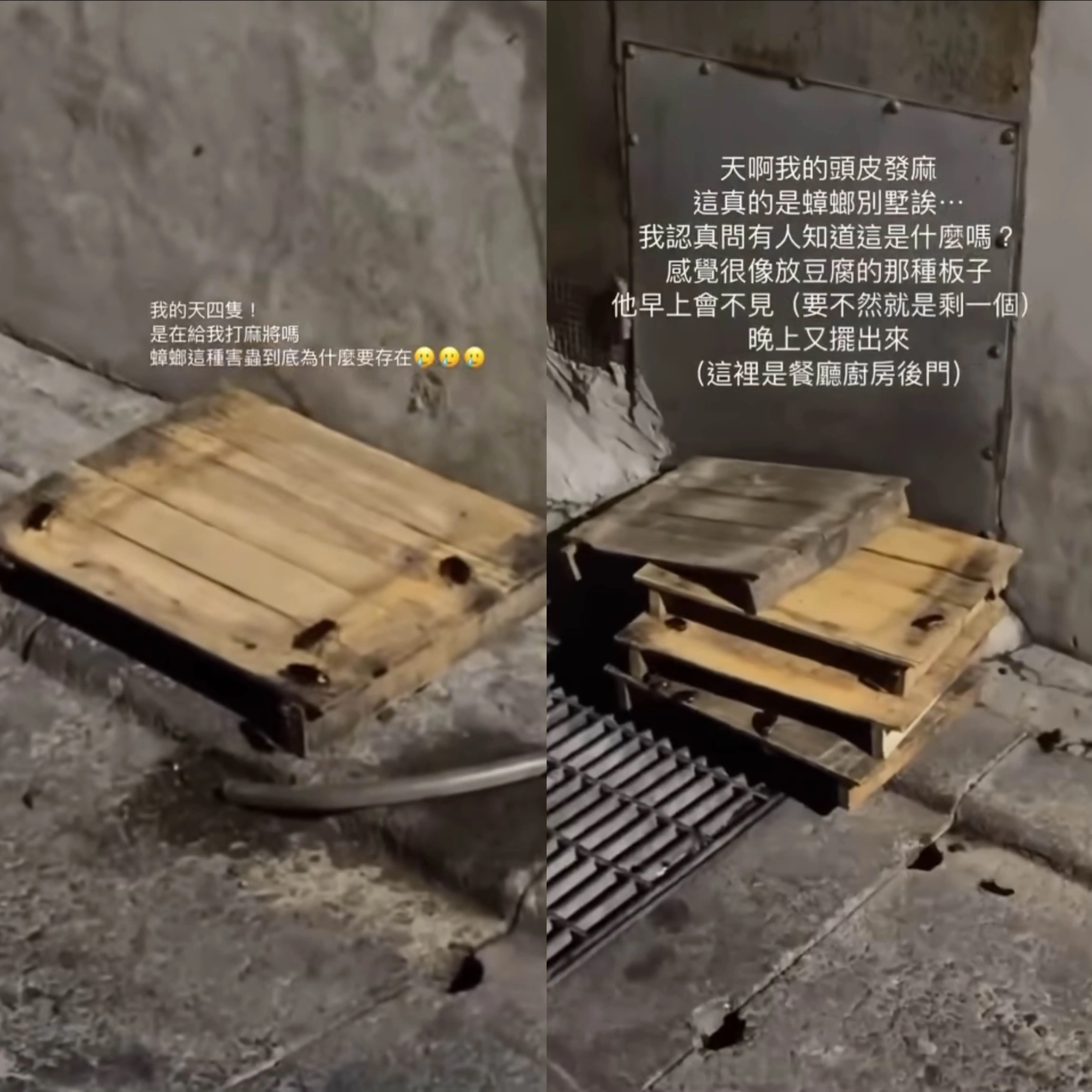 網友爆料友人路過台北松山的「四海一家」後門時，目擊疑似用來承裝板豆腐的木製板子，竟直接放在水溝蓋上，上面還有多隻蟑螂四處爬行。（圖／翻攝自Threads／rox_shih）
