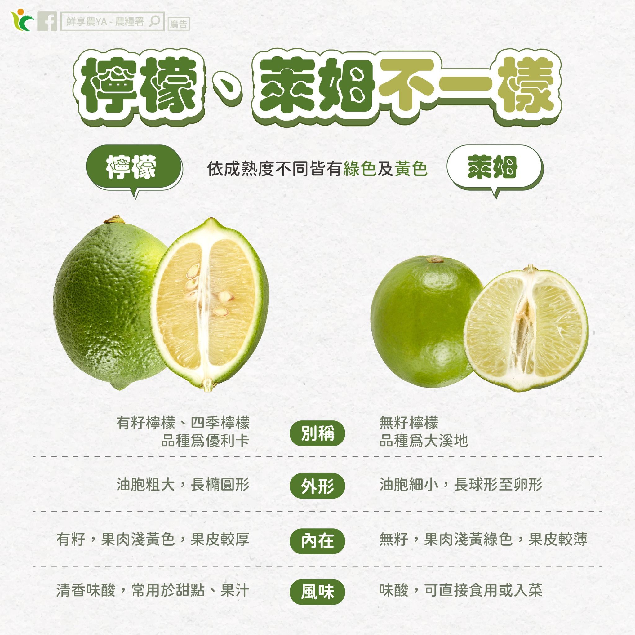 萊姆、檸檬差在哪？（圖／取自農糧署）