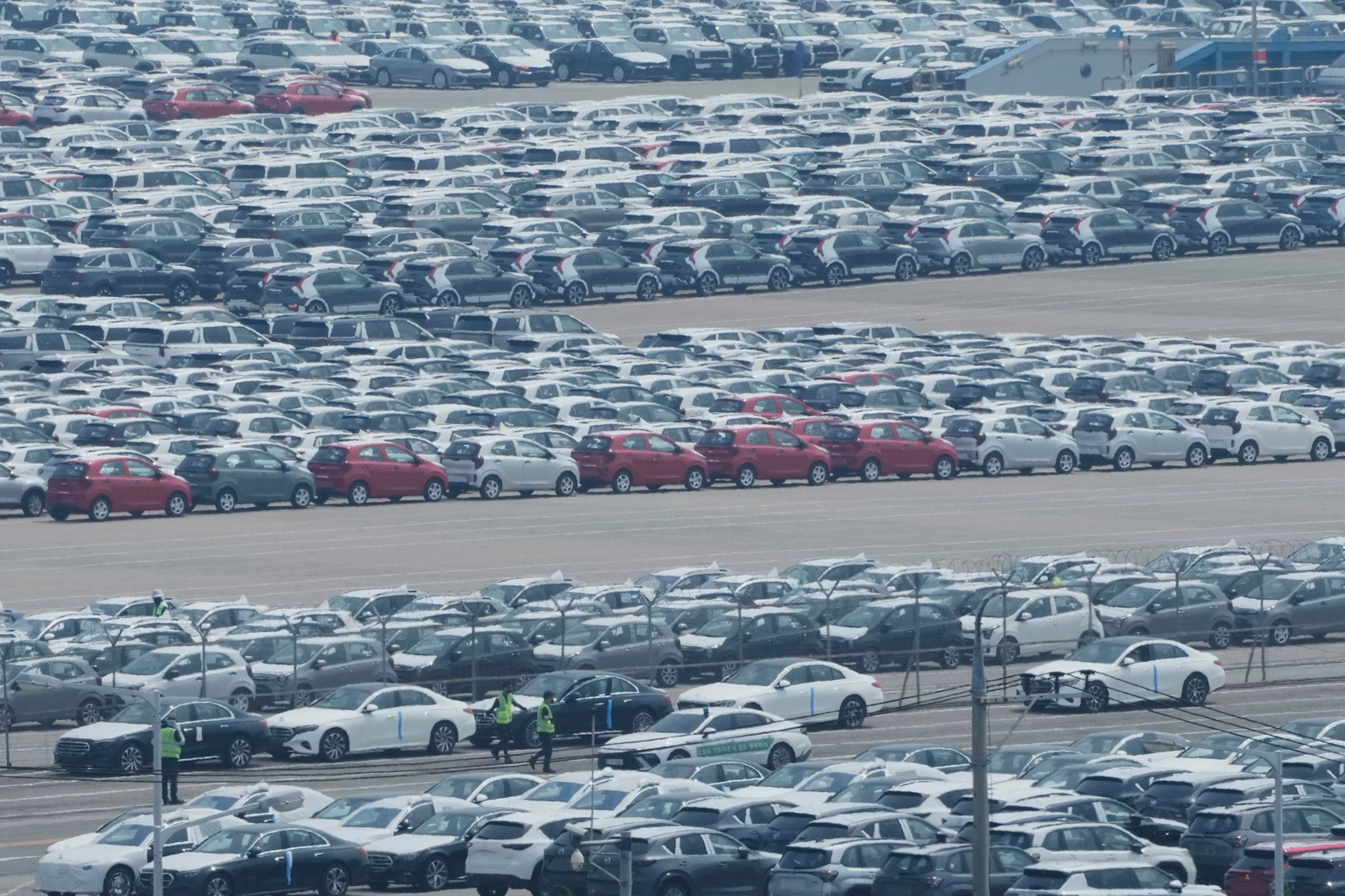 2025年7月8日、輸出準備中の車両が韓国平沢港に停留中。（AP通信）