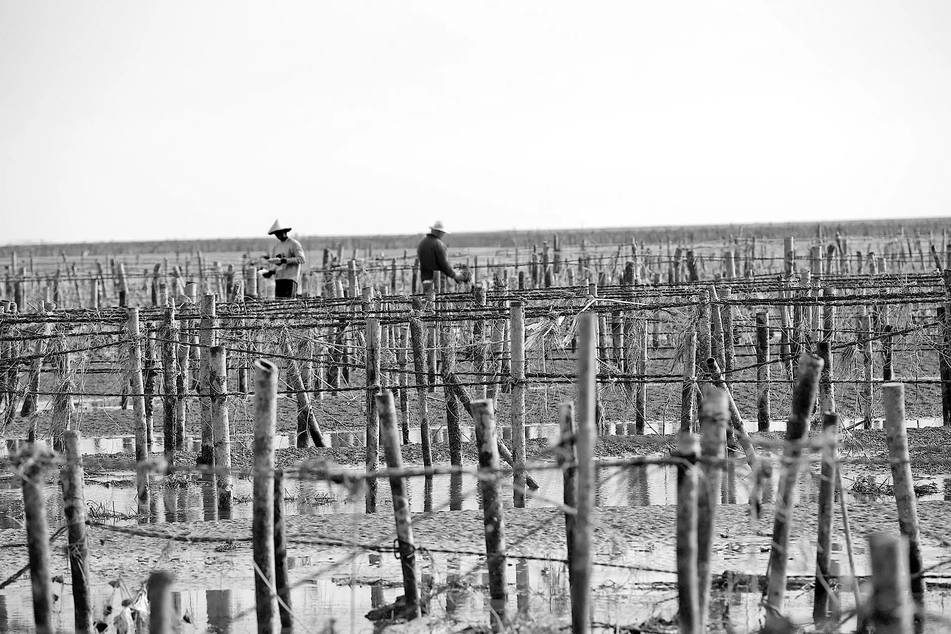 每100公斤的蚵繩，台化能產生 94公斤的回收尼龍及6公斤的 燃料，達成百分之百回收。 （圖／時報出版提供）