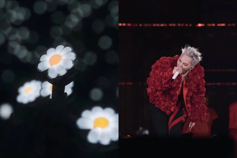 （圖／取自xxxibgdrgn＠instagram）