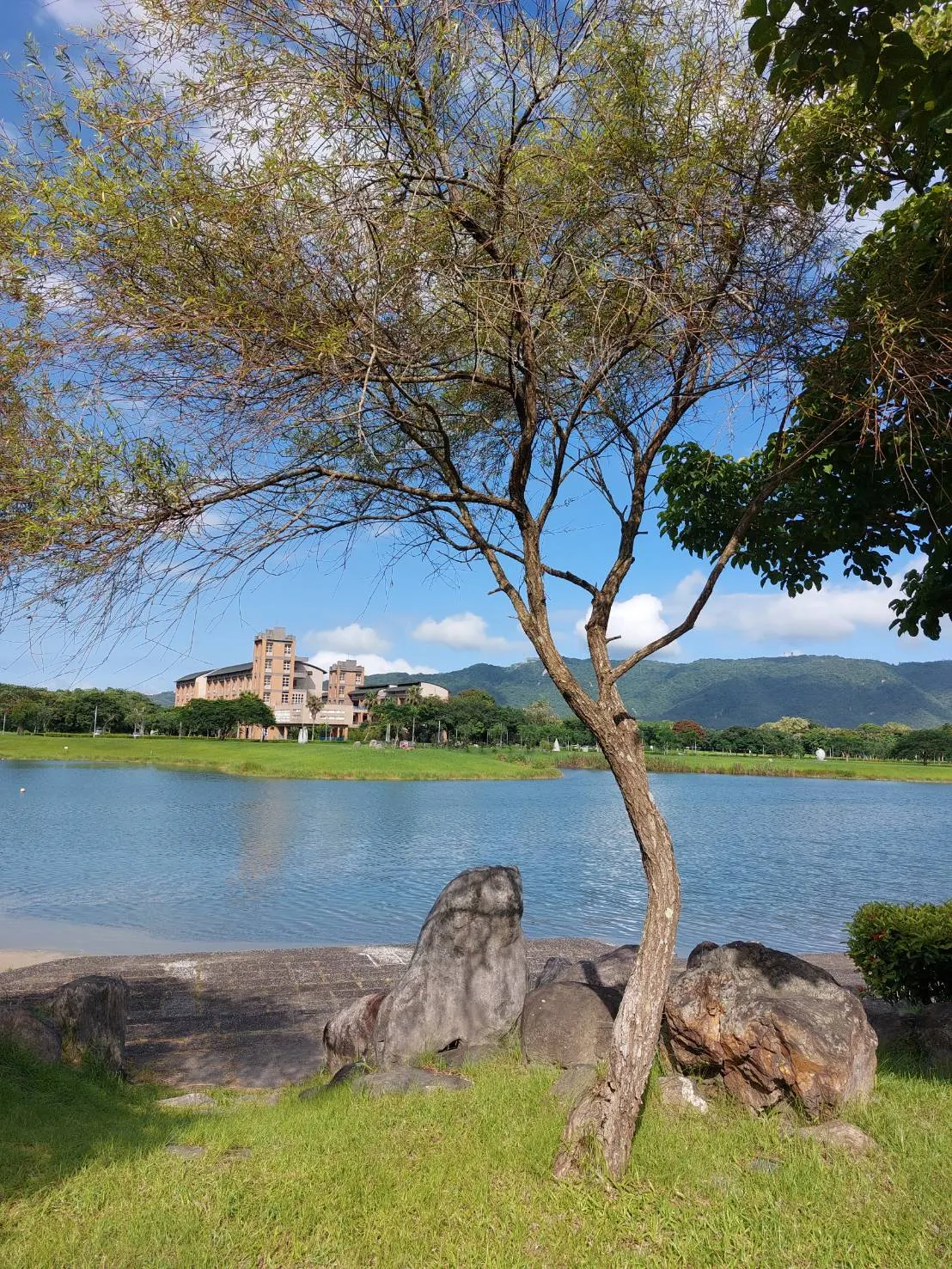 花蓮東華大學。（圖／取自flickr）