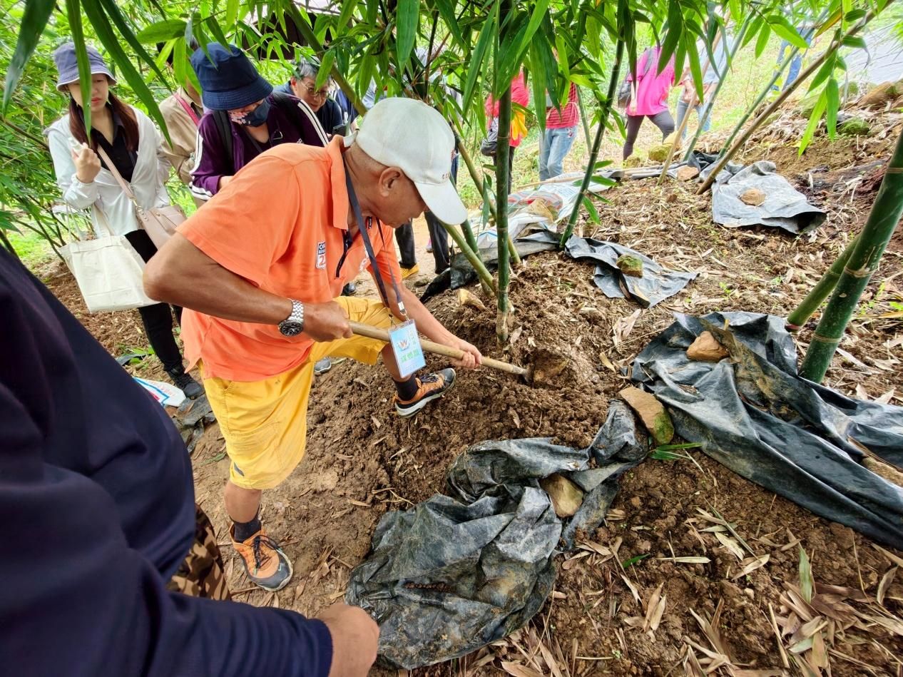 採筍體驗與一日農夫生態遊程，讓民眾親身感受挖筍樂趣。