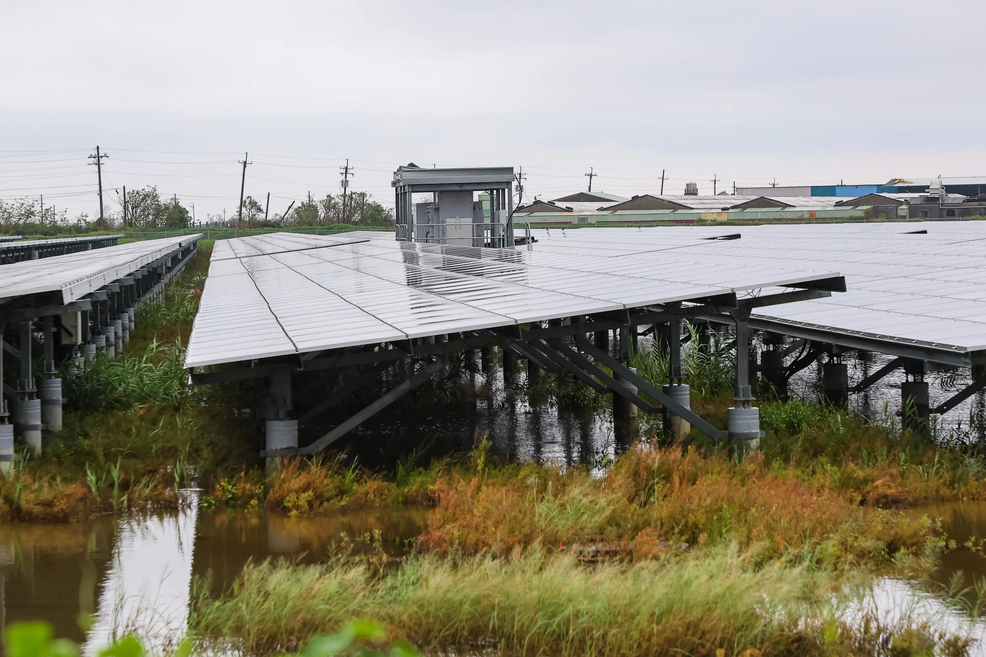 20250715-太陽光電專題，台南七股漁電共生太陽光電。（顏麟宇攝）