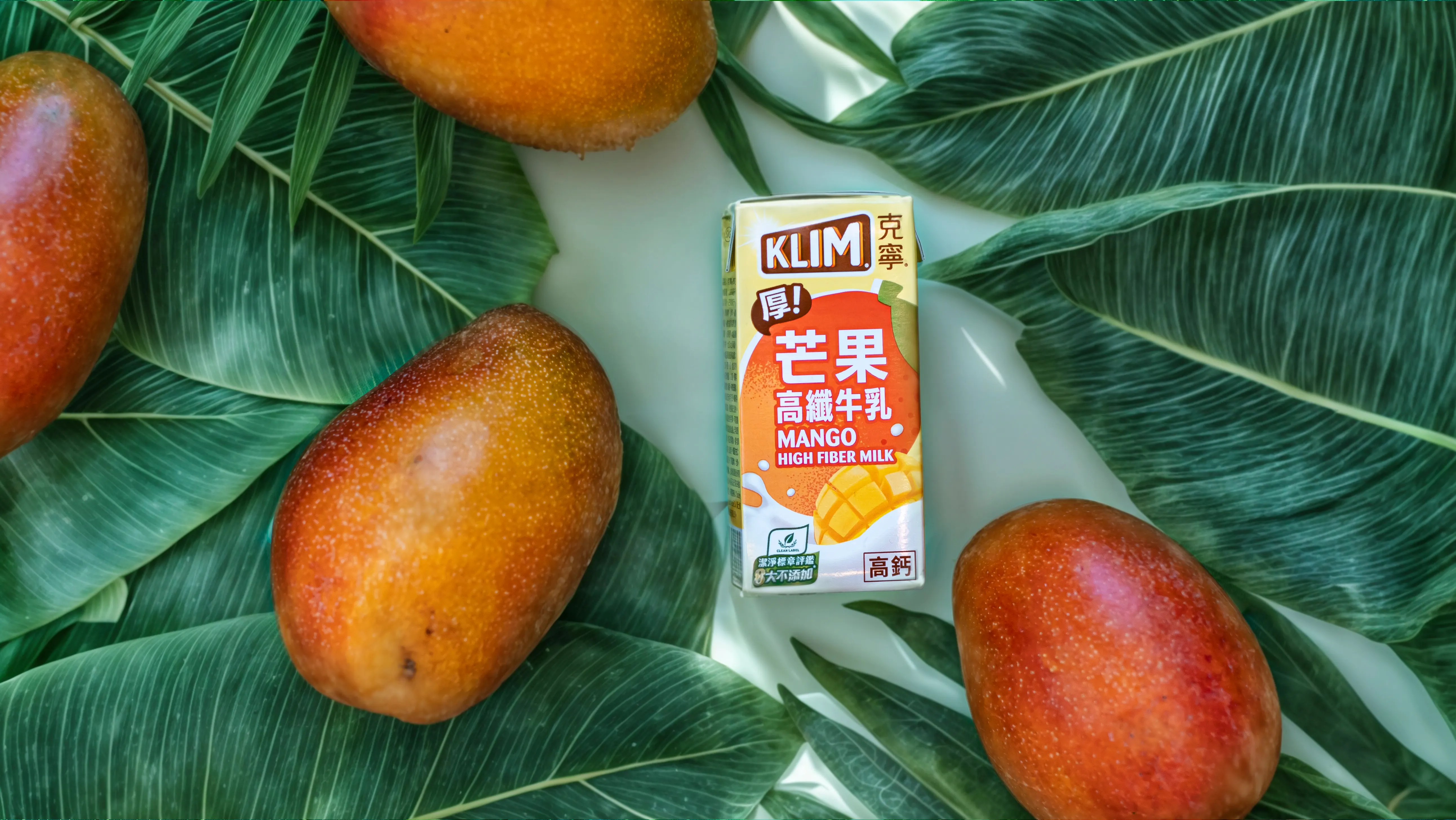 「克寧厚芒果高纖牛乳」一次喝到三種芒果的精華風味，其中包含了愛文芒果的濃郁、金煌芒果的香甜與凱特芒果的酸爽，讓你成為芒果富翁！