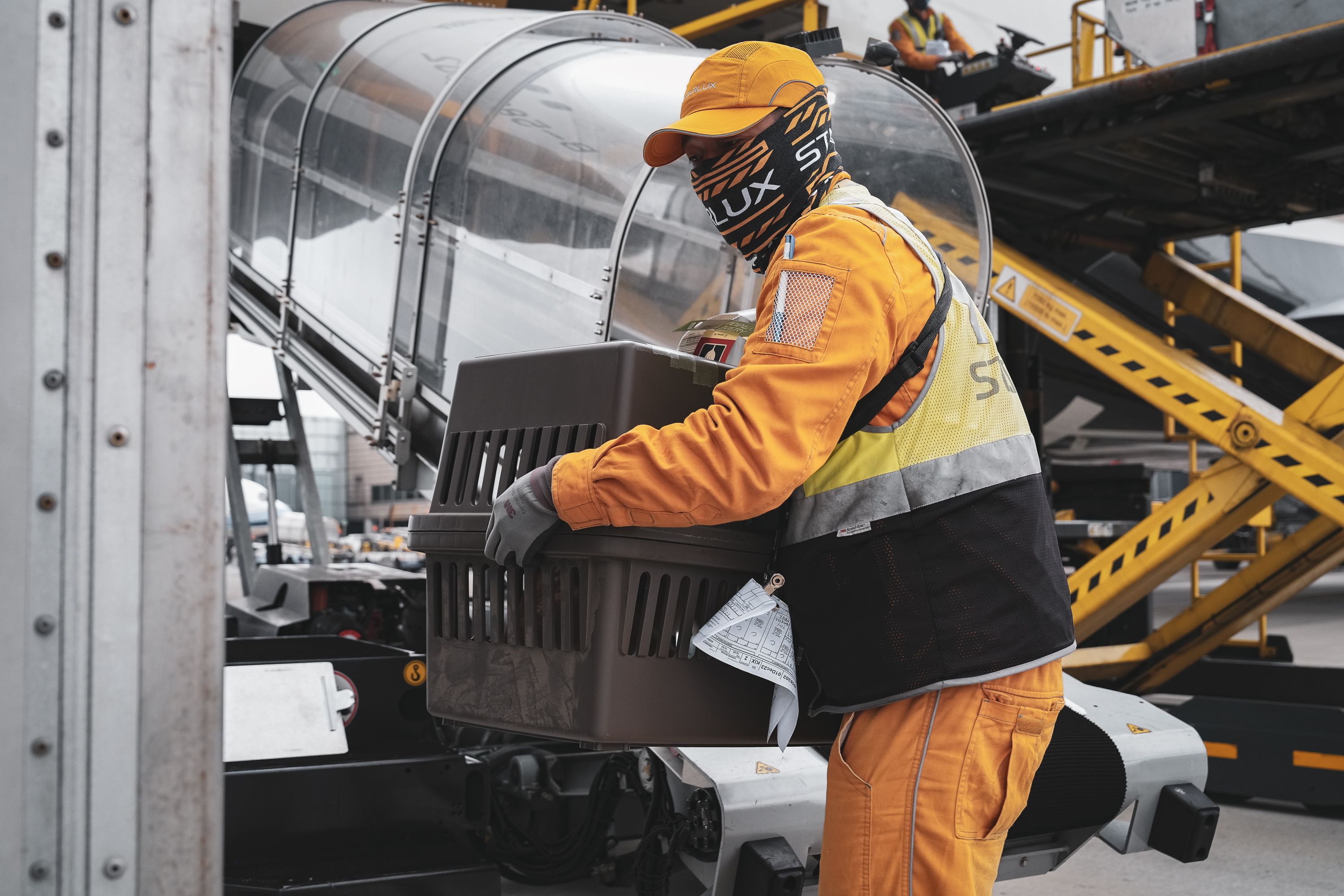 為確保動物安全與福祉，活體動物運輸需嚴格遵守國際規範，專業度要求極高。