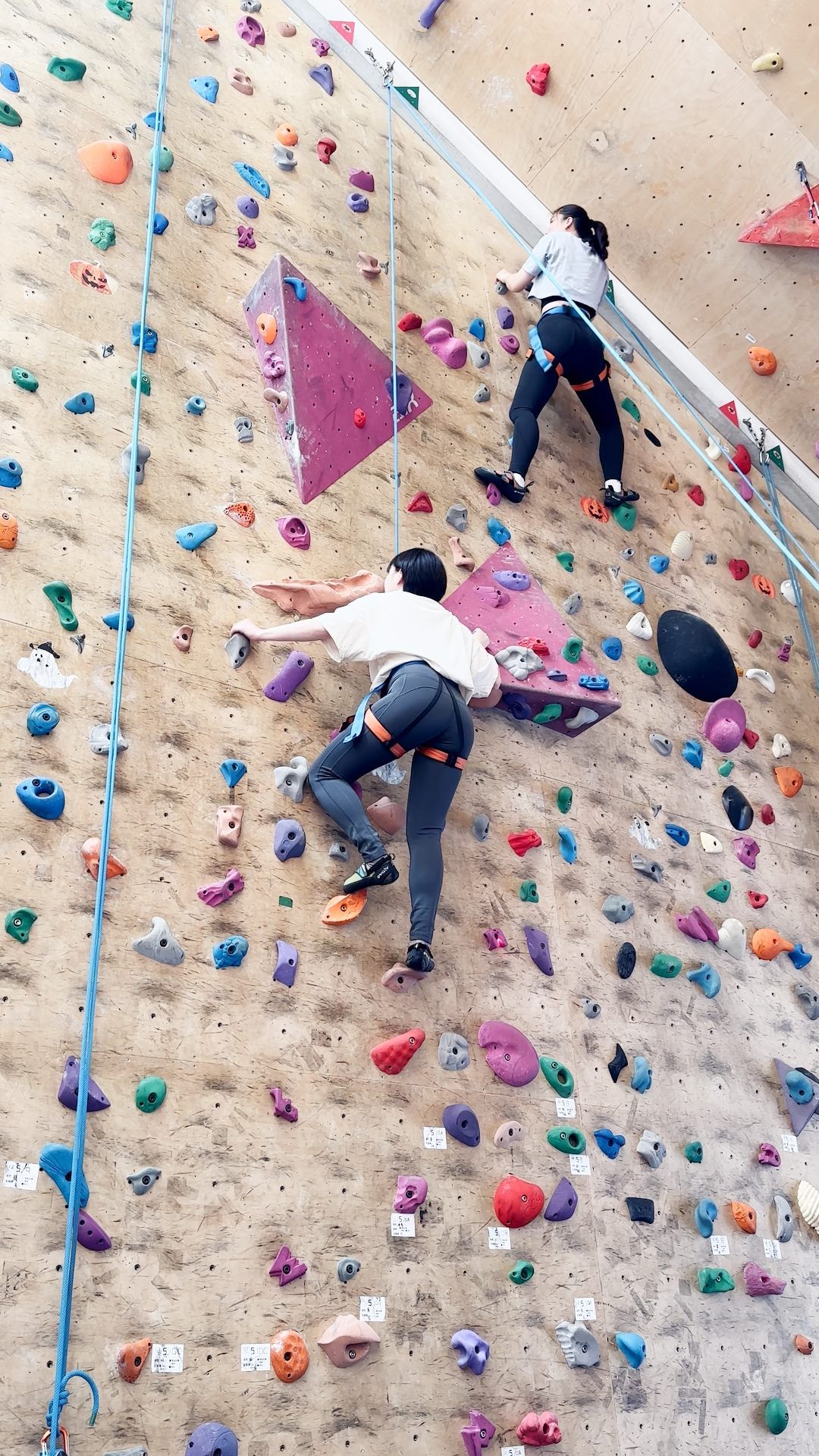 到大稻埕老屋體驗攀岩活動，讓民眾在攀爬間挑戰自我。（圖／臺北市政府觀傳局提供）