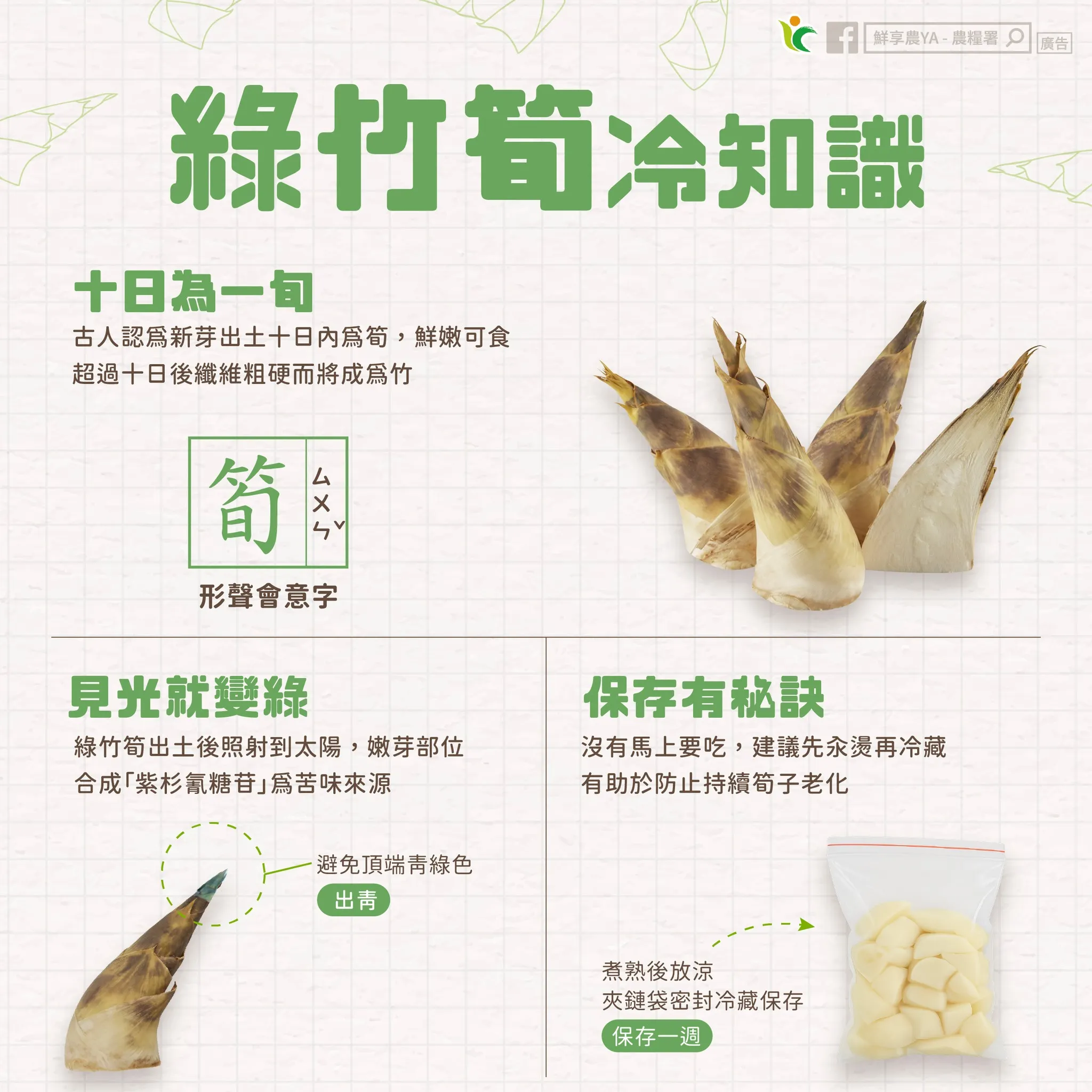 竹筍怎麼挑、怎麼保存有訣竅。（圖／取自農糧署）