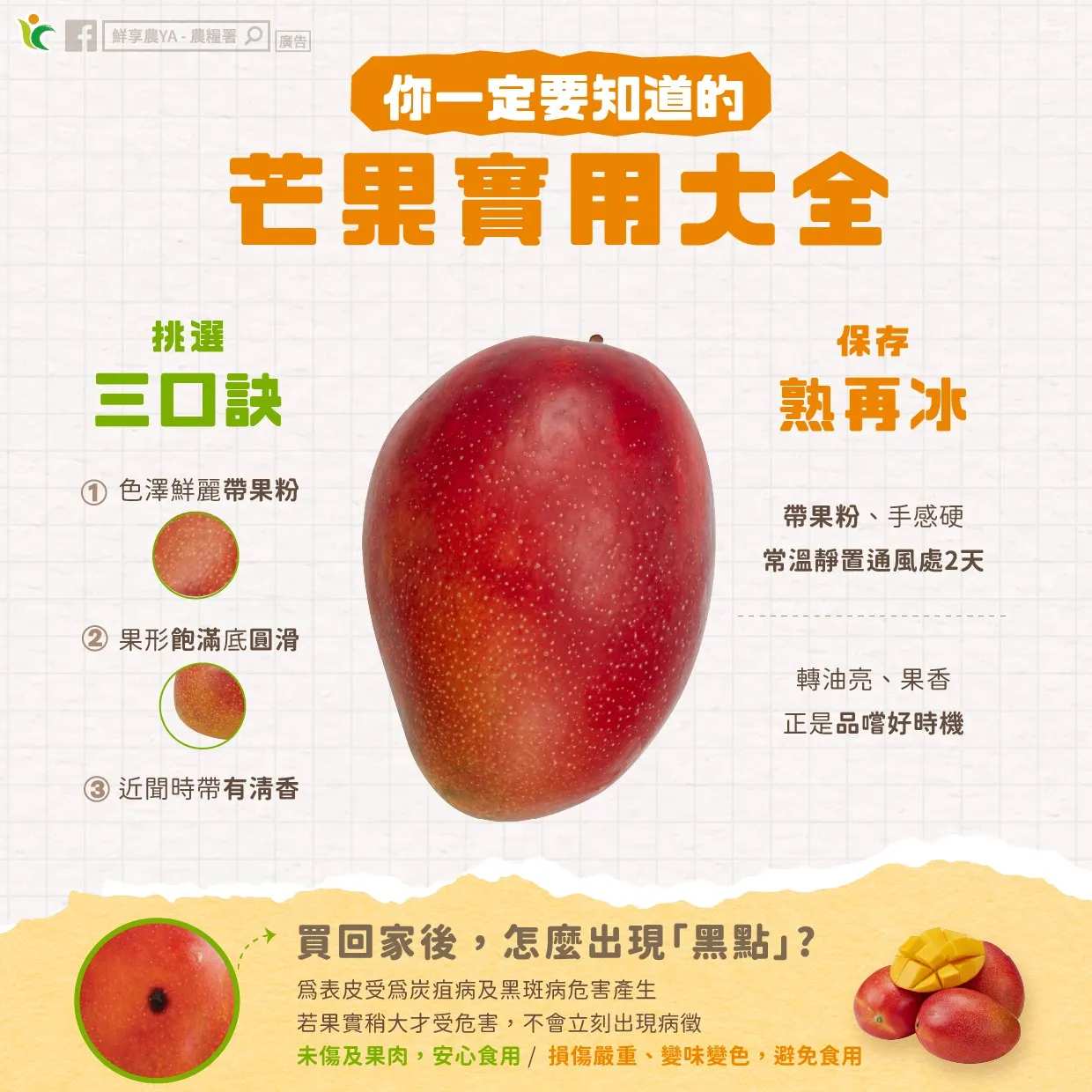 芒果保存挑選方法。（圖／農糧署芒果保存）