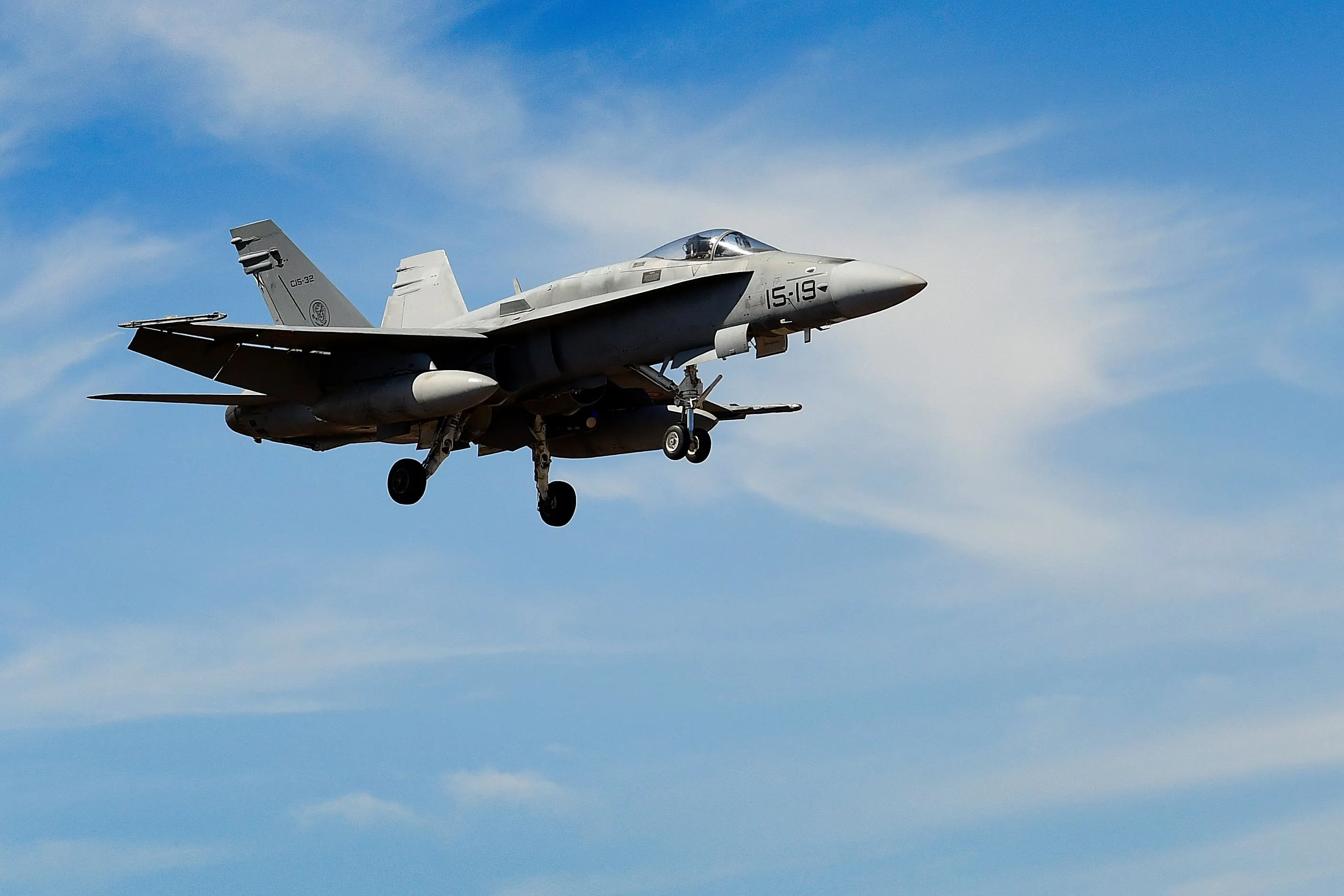 西班牙空軍現役的F/A-18「大黃蜂」戰機。（翻攝自美軍DVIDS系統）