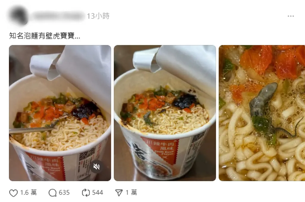 今（11日）凌晨有網友在Threads發文表示，準備享用一款知名泡麵時，打開碗蓋竟看到麵上完整躺著一隻壁虎寶寶屍體。（圖／翻攝自Threads）