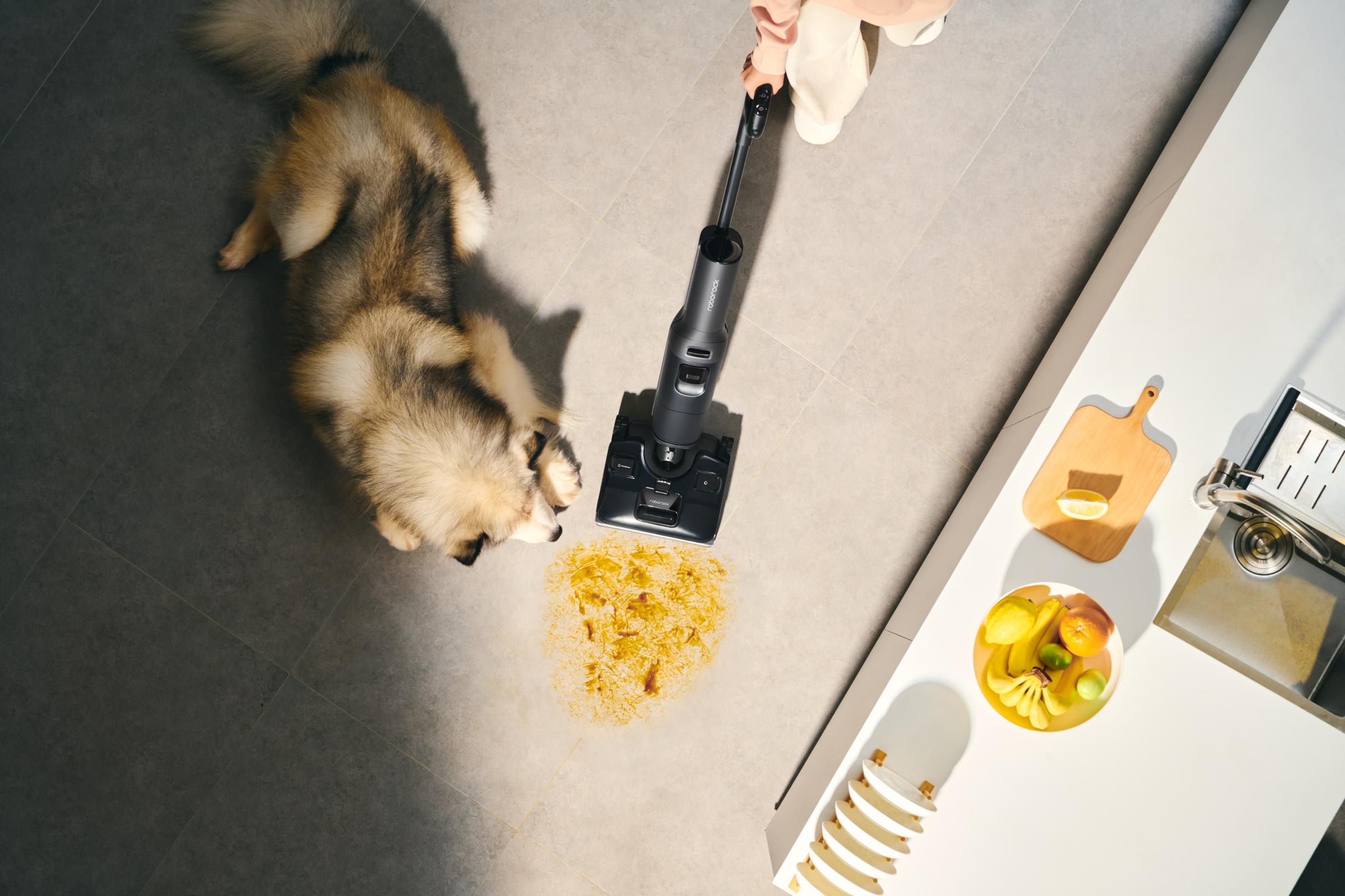 F25 Ultra 蒸氣熱水雙效洗地機，專為新生兒與敏感家庭設計。結合 150°C 蒸氣清潔與 86°C 熱水洗地，有效減少病菌滋生。