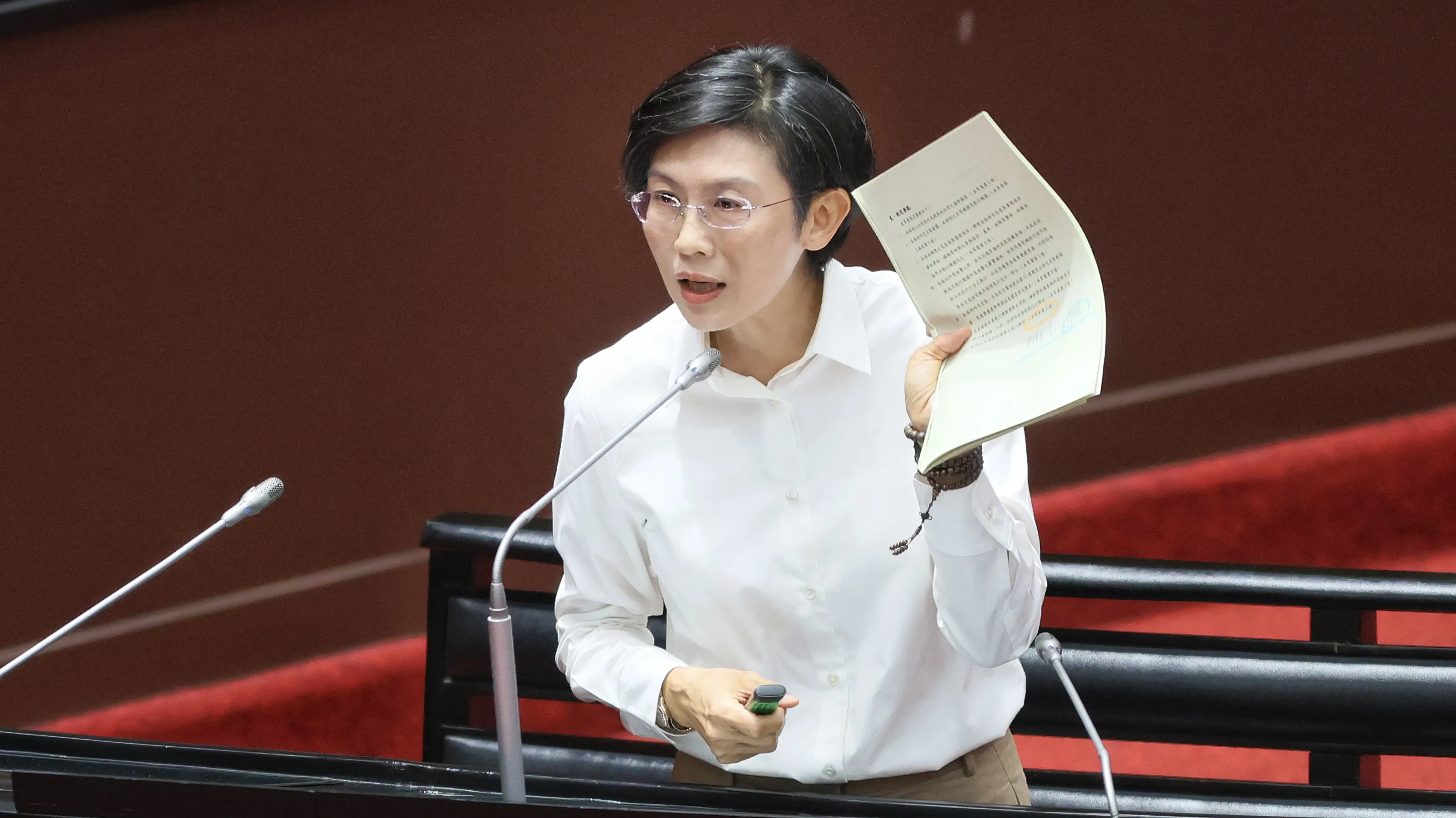 20250812-立法委員の林岱樺が12日に立法院で質疑。（柯承惠撮影）