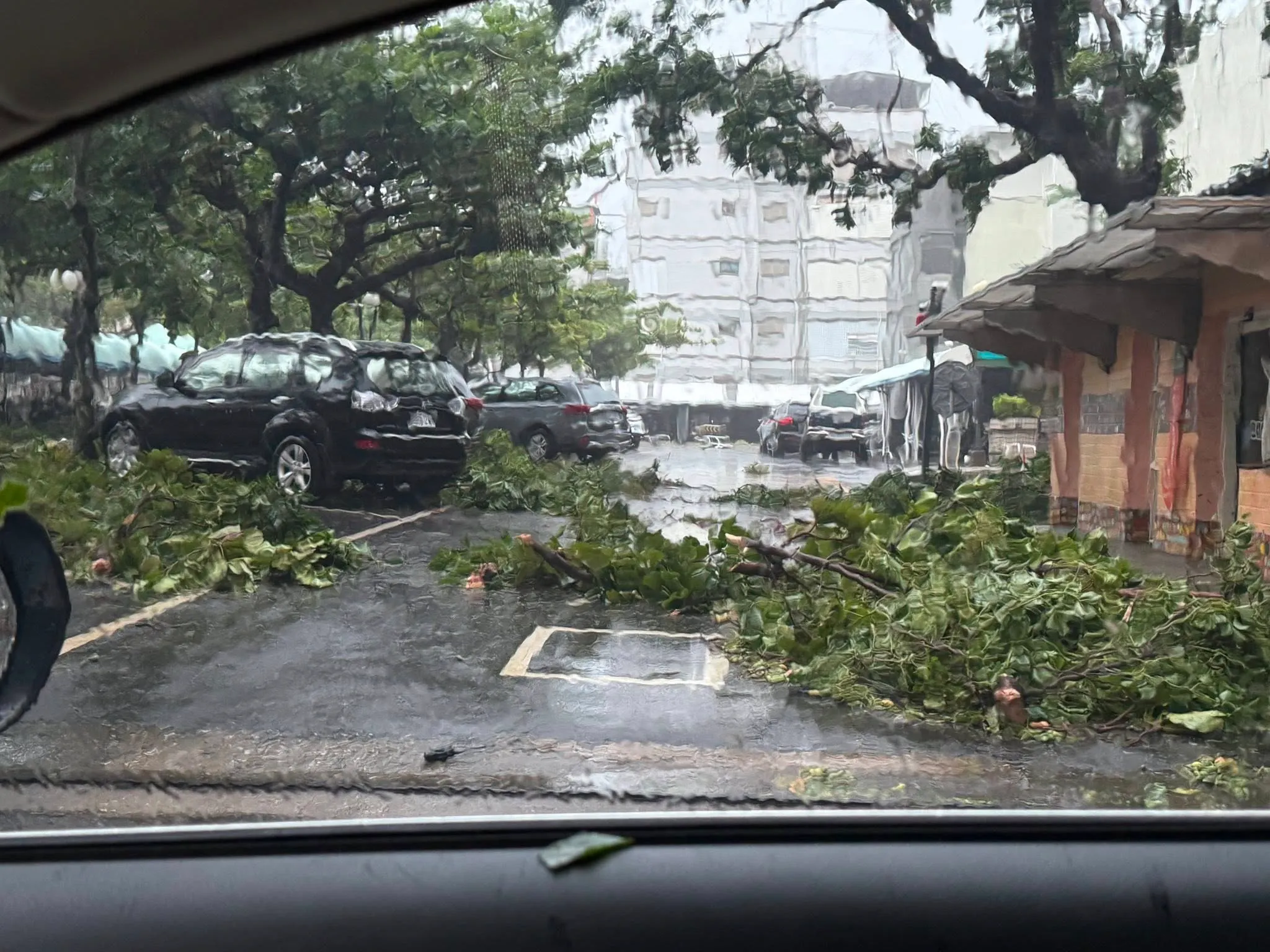 （圖／翻攝台東大小事(114年)公開社團）