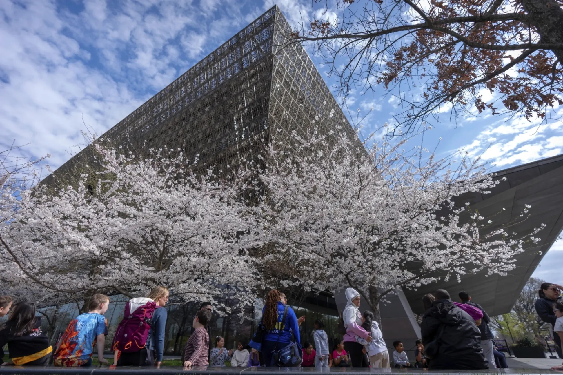 美國非裔美國人歷史文化博物館。（美聯社）