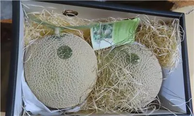 日本「鮮蜜瓜」農藥超標。（圖／取自食藥署）