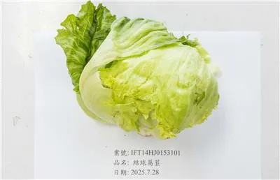 韓國出口「結球萵苣」被驗出農藥超標。（圖／取自食藥署）
