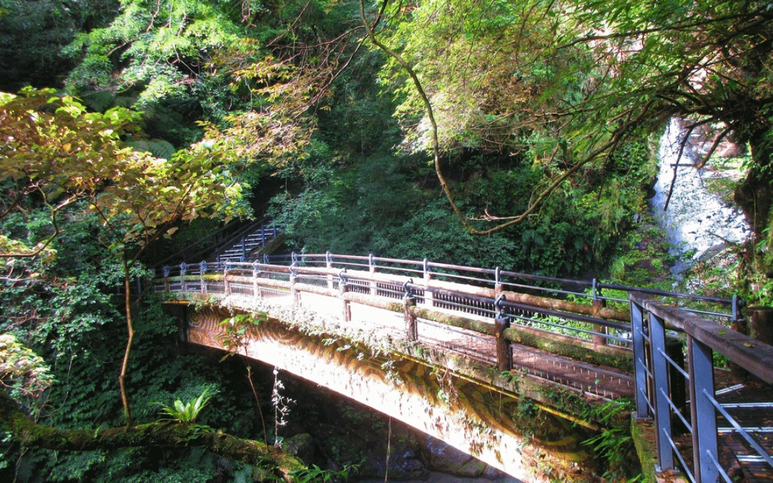 台灣森林樂園推薦：滿月圓國家森林遊樂區。（圖／取自IG＠manyueyuanforest ）
