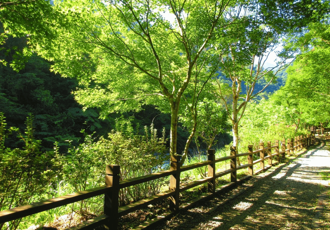 台灣森林樂園推薦：滿月圓國家森林遊樂區。（圖／取自IG＠manyueyuanforest ）