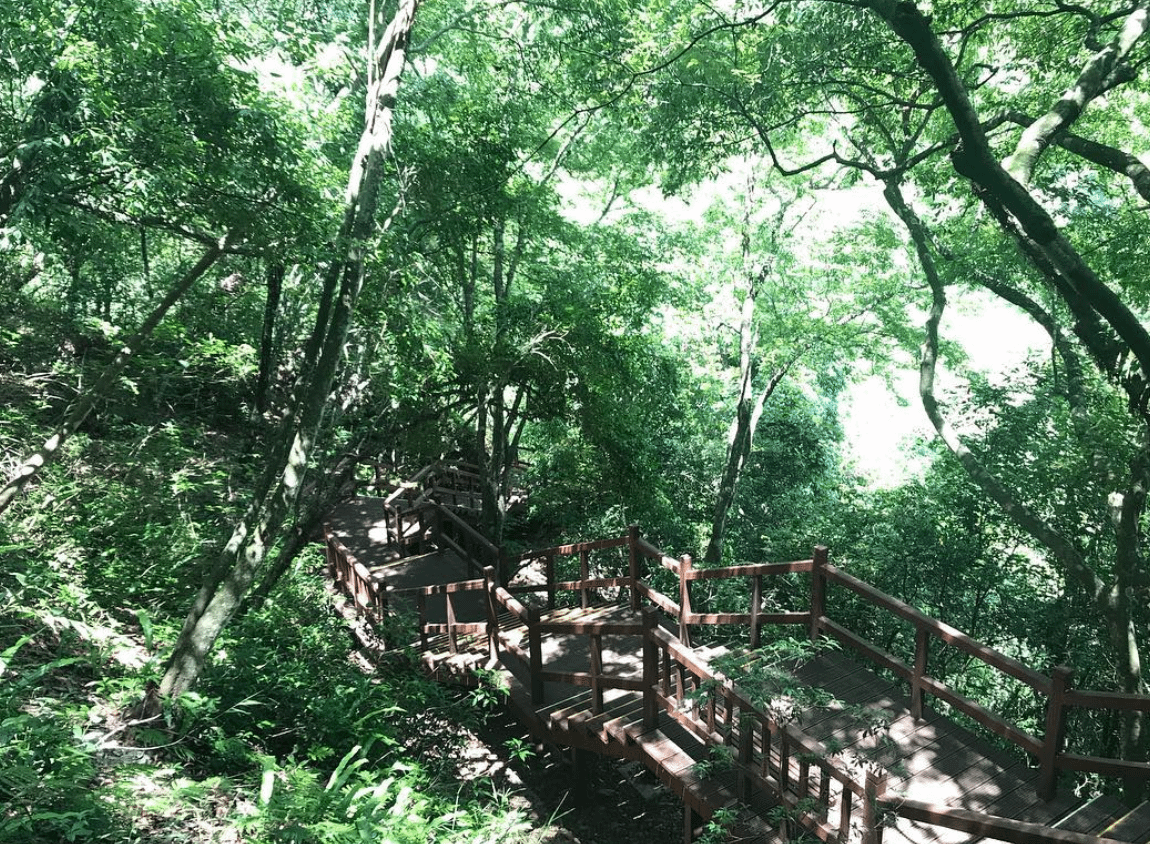 台灣森林遊樂園推薦：奧萬大國家森林公園（圖／取自IG＠laitingll）