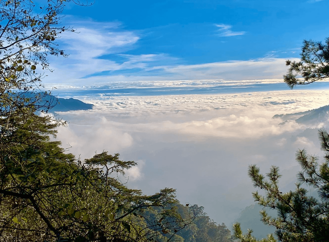台灣森林遊樂園推薦：大雪山森林遊樂區（圖／取自IG＠chen234345）