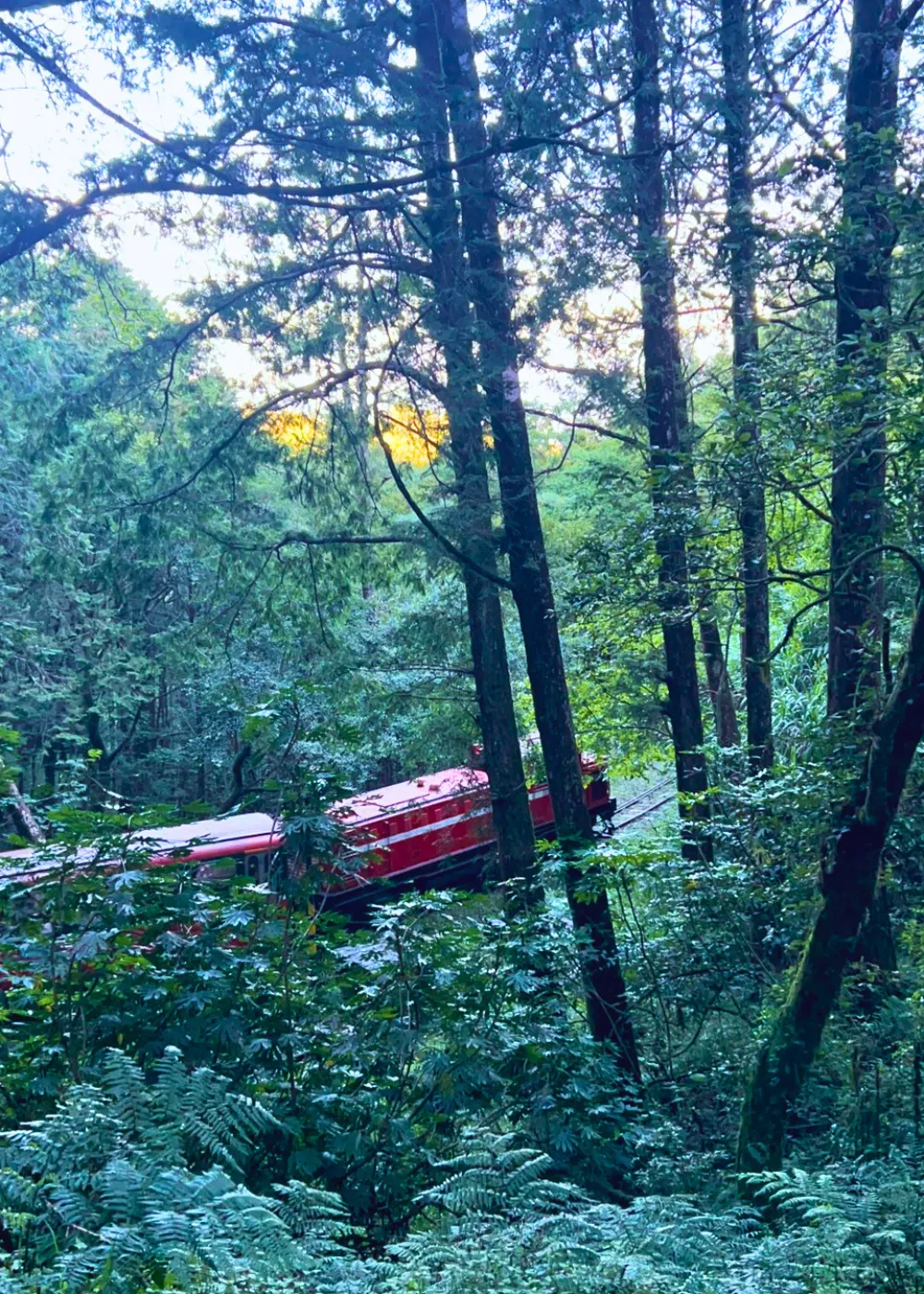 阿里山祝山線小火車。（資料照／梁溶珈攝）
