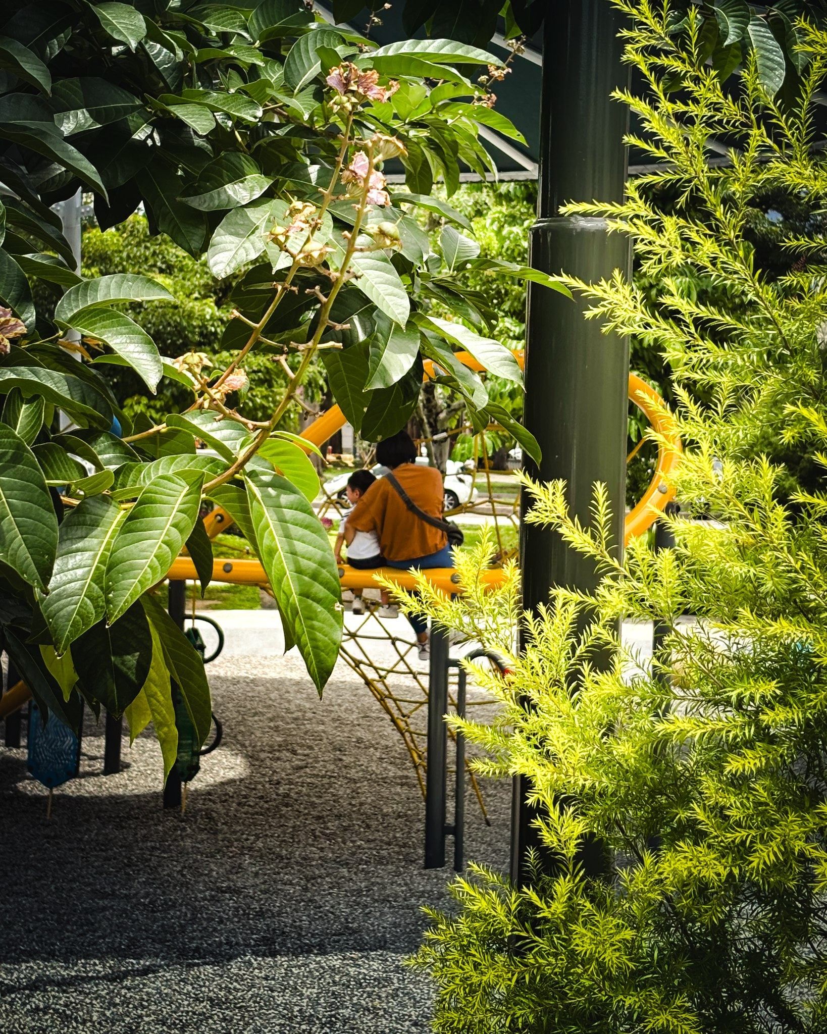 美樂地公園攝影創意競賽得獎作品｜朝陽科技大學陳立翔同學-十全十美。(圖/台中市政府)