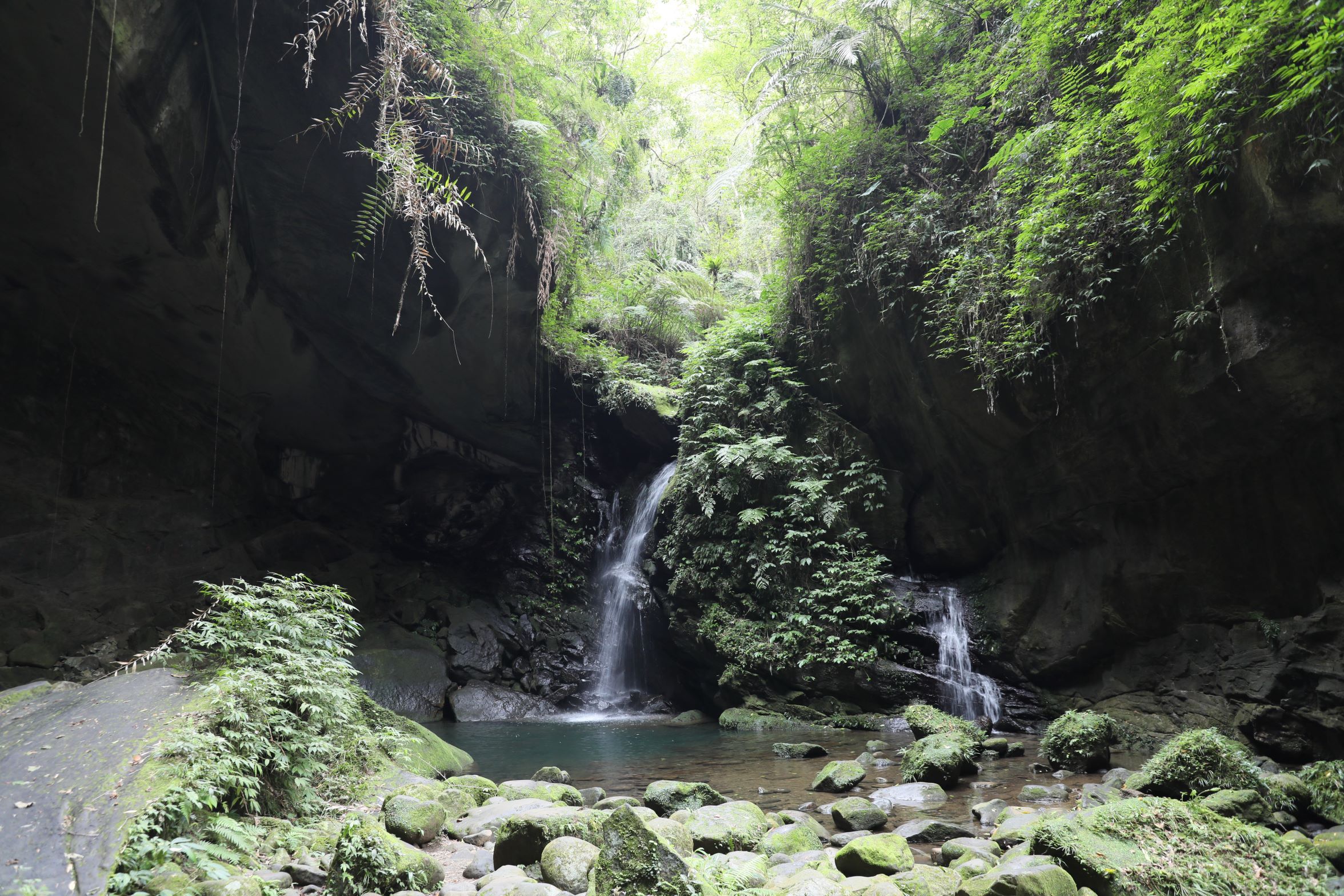 三民蝙蝠洞因早期有許多蝙蝠居留得名，目前洞內已無蝙蝠居住，但自然形成的天然岩洞非常罕見。（圖／桃園市政府風景區管理處）