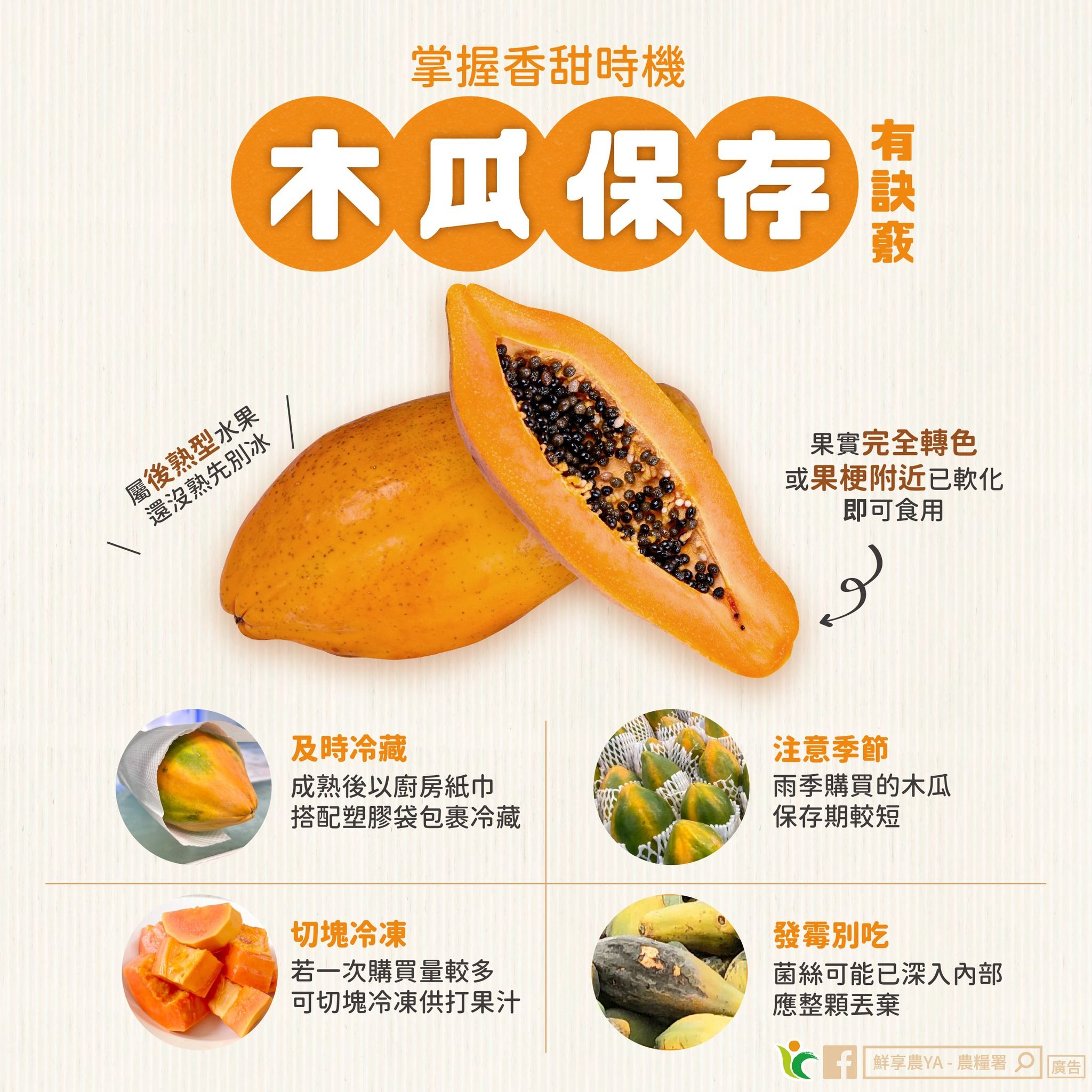  木瓜冷藏、冷凍保存方法。（圖／取自農糧署）