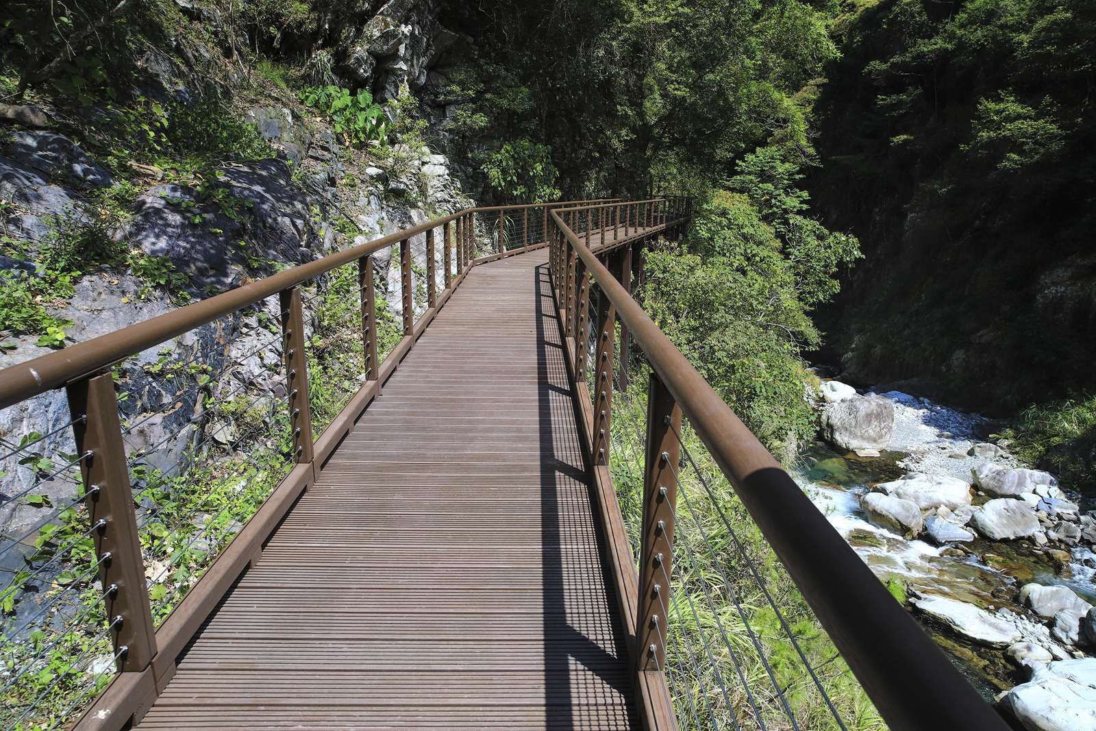 八仙山國家森林遊樂區 (圖／取自台灣山林悠遊網）