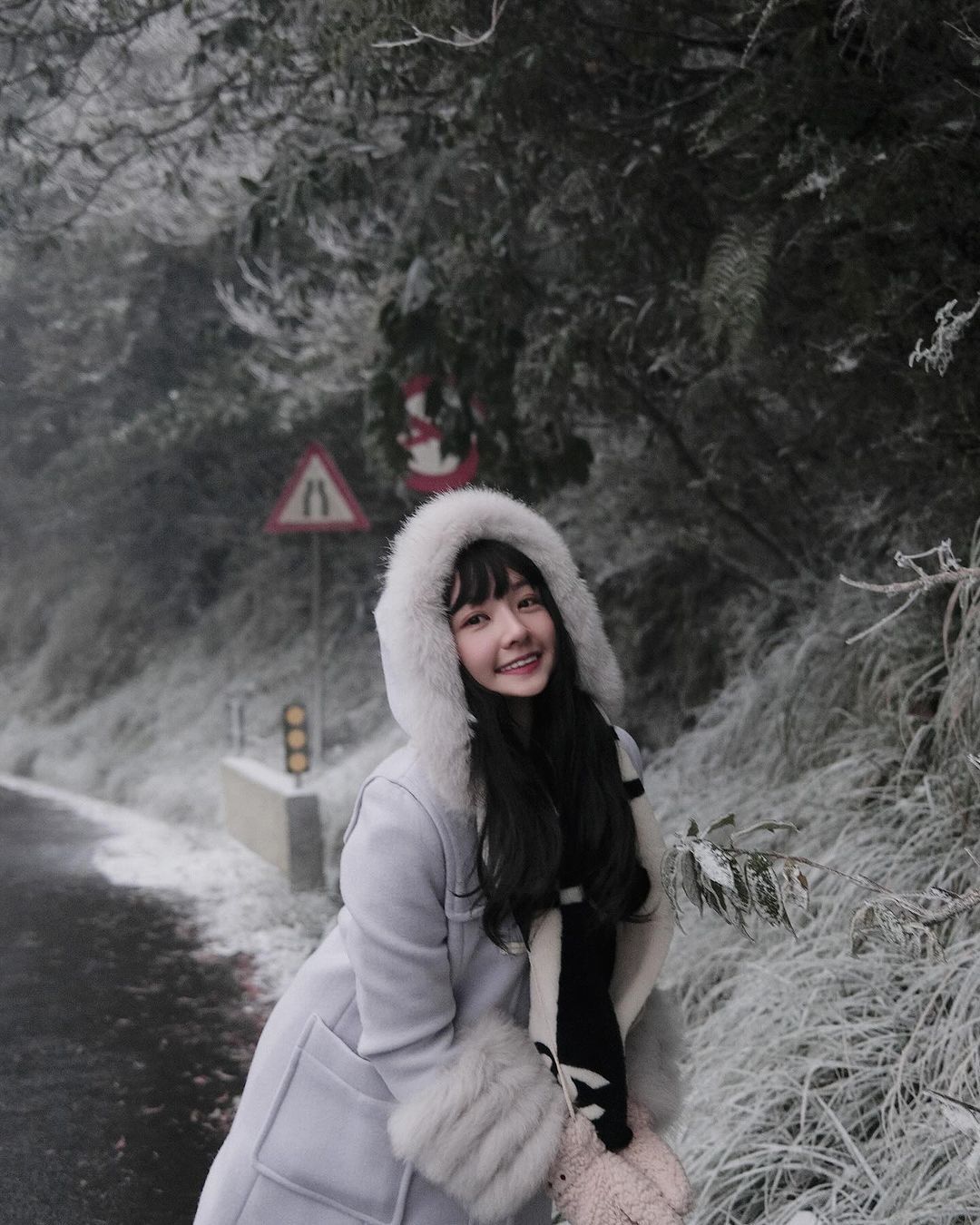 太平山國家森林遊樂區（圖／Instagram@ mini780622提供）