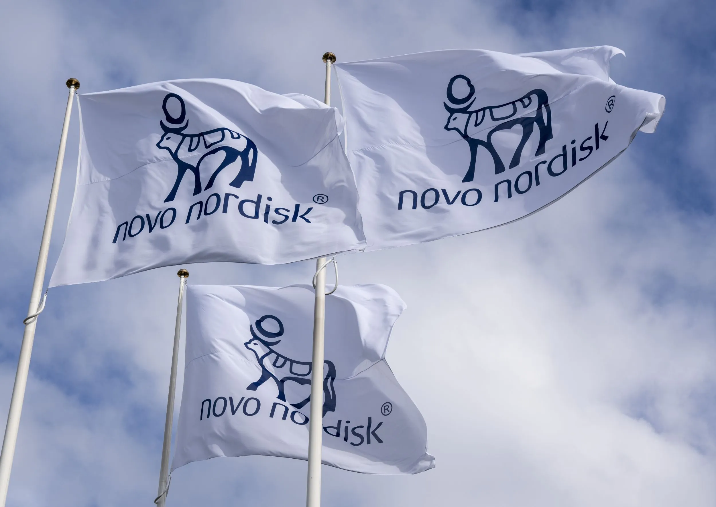 丹麥知名藥廠諾和諾德。（翻攝自公司官網）