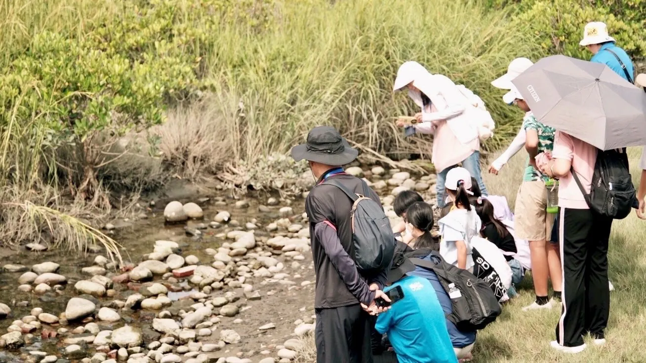 大安產業小旅行活動到龜殼生態公園認識潮間帶豐富多元的生物生態。(圖/台中市政府)