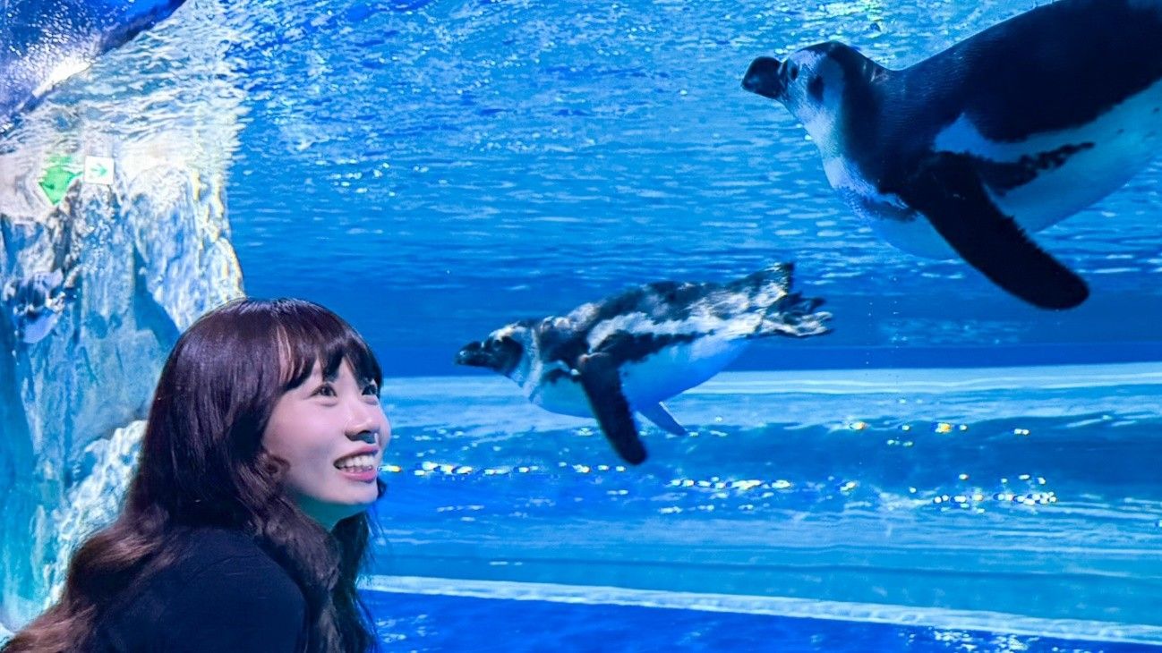 台中海洋館獨特的企鵝展缸設計，讓遊客可以從不同的角度近距離觀察麥哲倫企鵝可愛的互動。(圖/台中市政府)