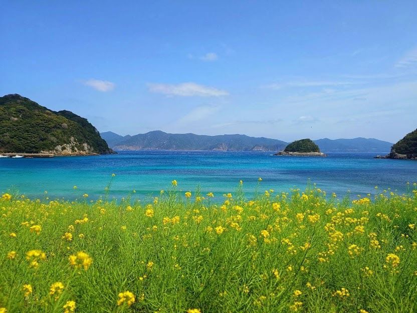 20250912-日本五島列島。（Lois提供）