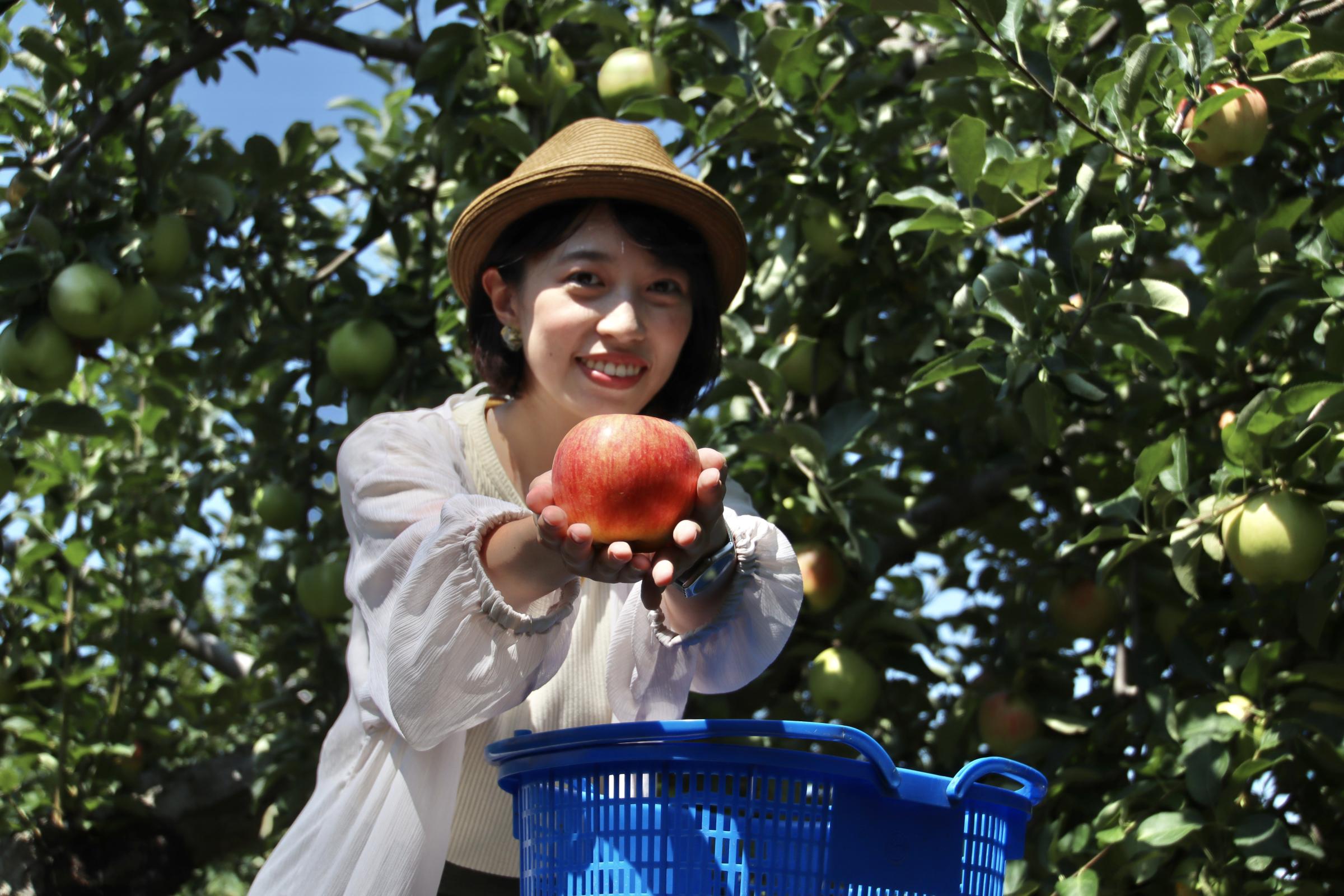 ChatGPT:台湾出身の凱西（吳詠心）さんは、青森に移住し「睡魔小姐」として注目を集め、現在は観光協会で台湾との交流を推進している。凱西