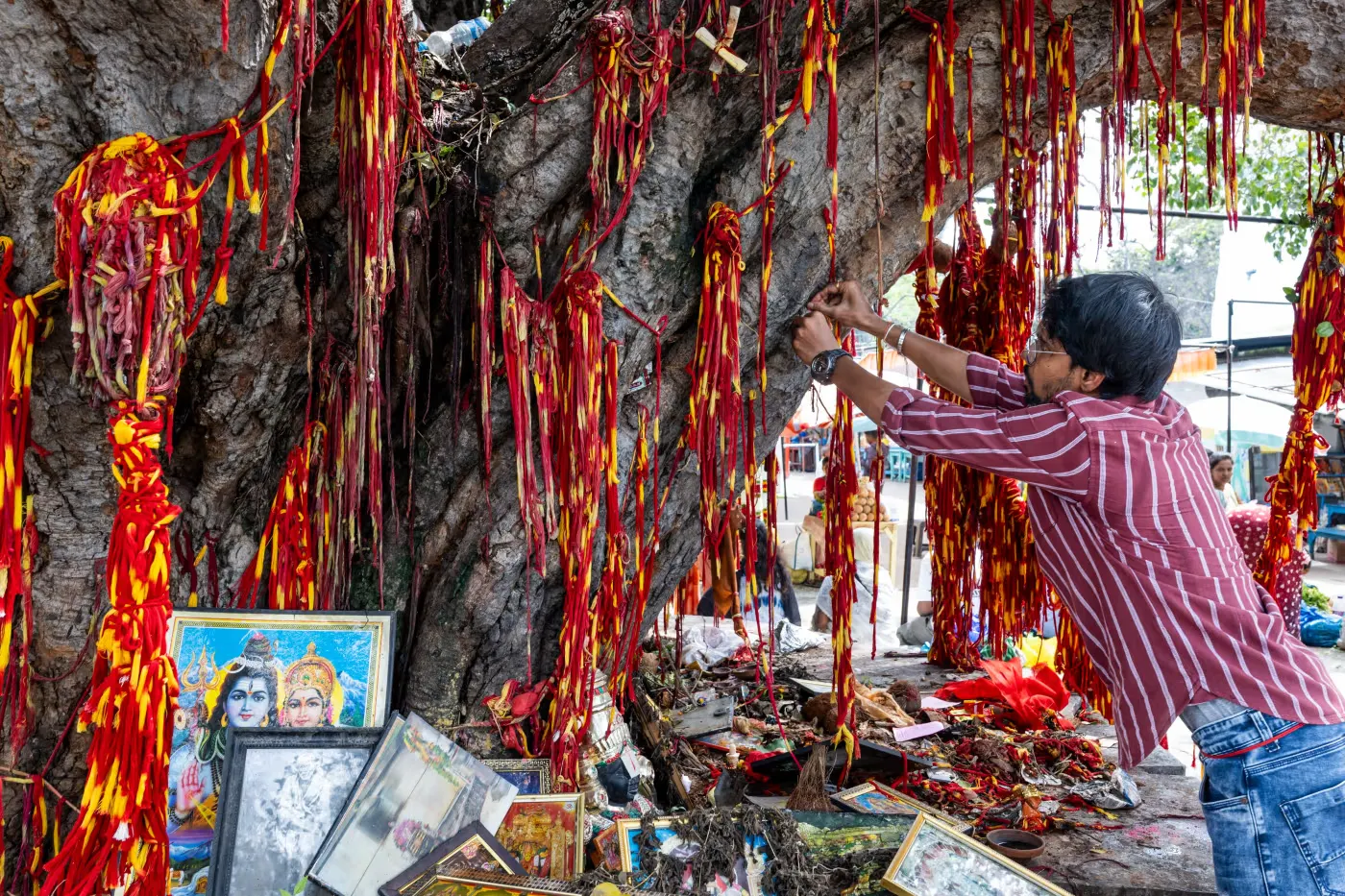 一位遊客將一根聖線系在樹上，祈求好運。（華爾街日報）