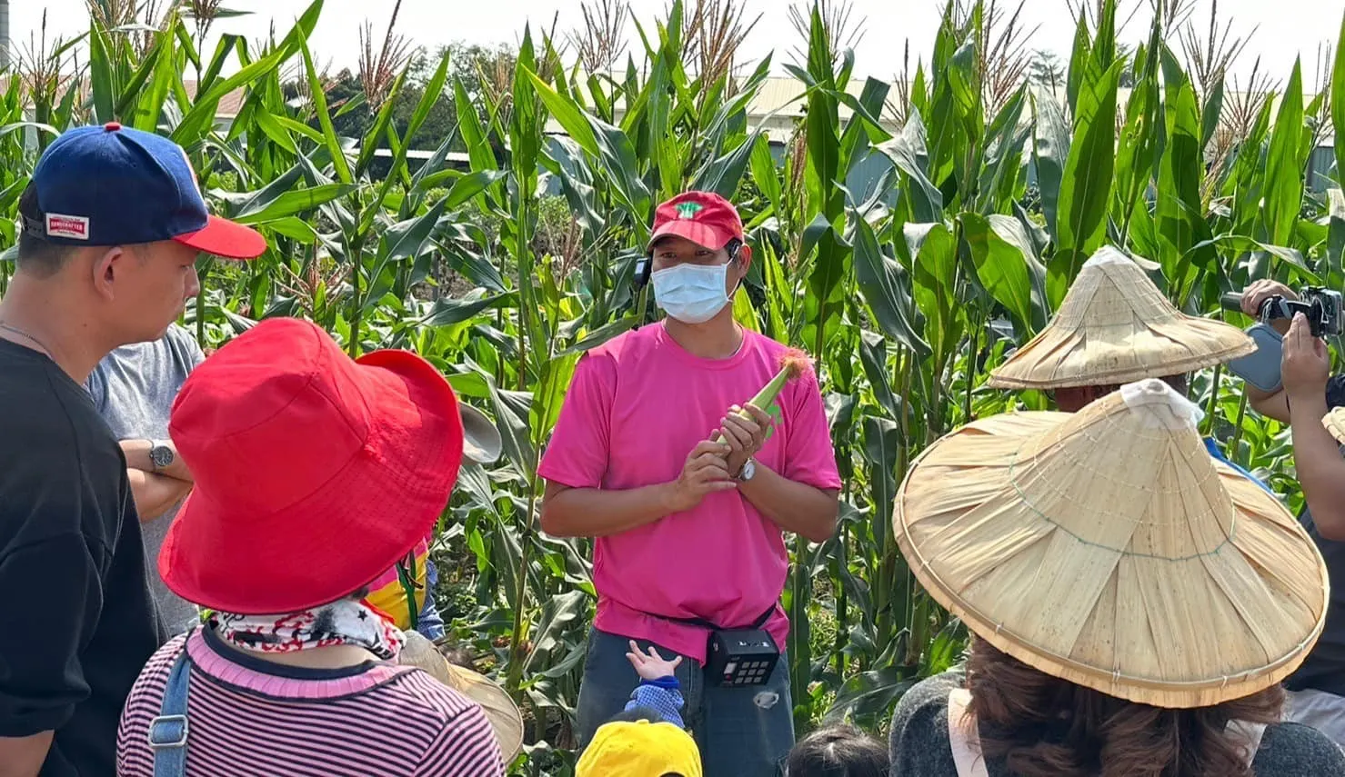 孫家菜園-低碳旅遊及食農教育。（圖／高雄市環保局）