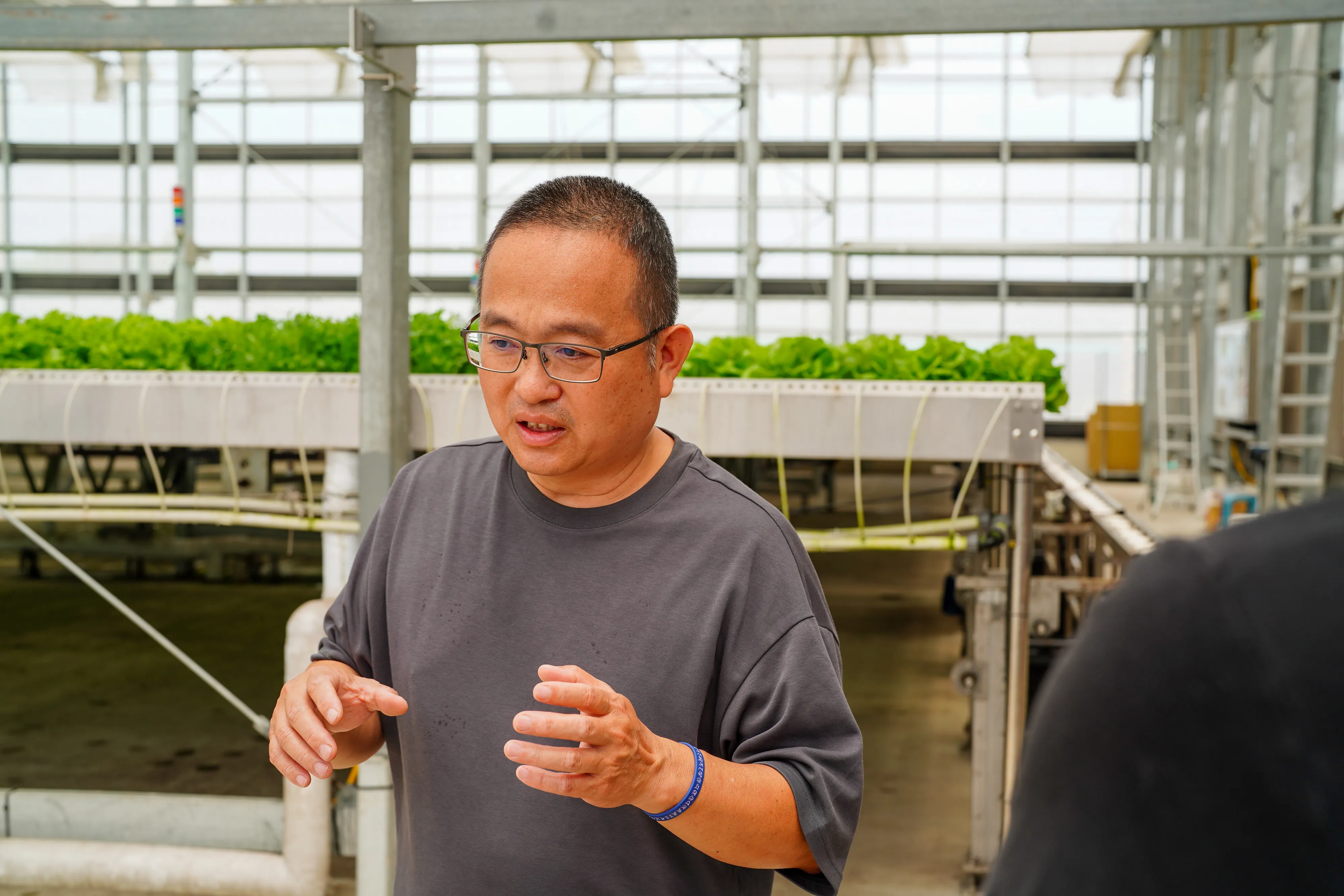 郭能禎說，「日本是亞洲人均番茄消費量最高的國家，但我們現在種的番茄，並不是日本人習慣吃的那種。」（胡家嫻攝）