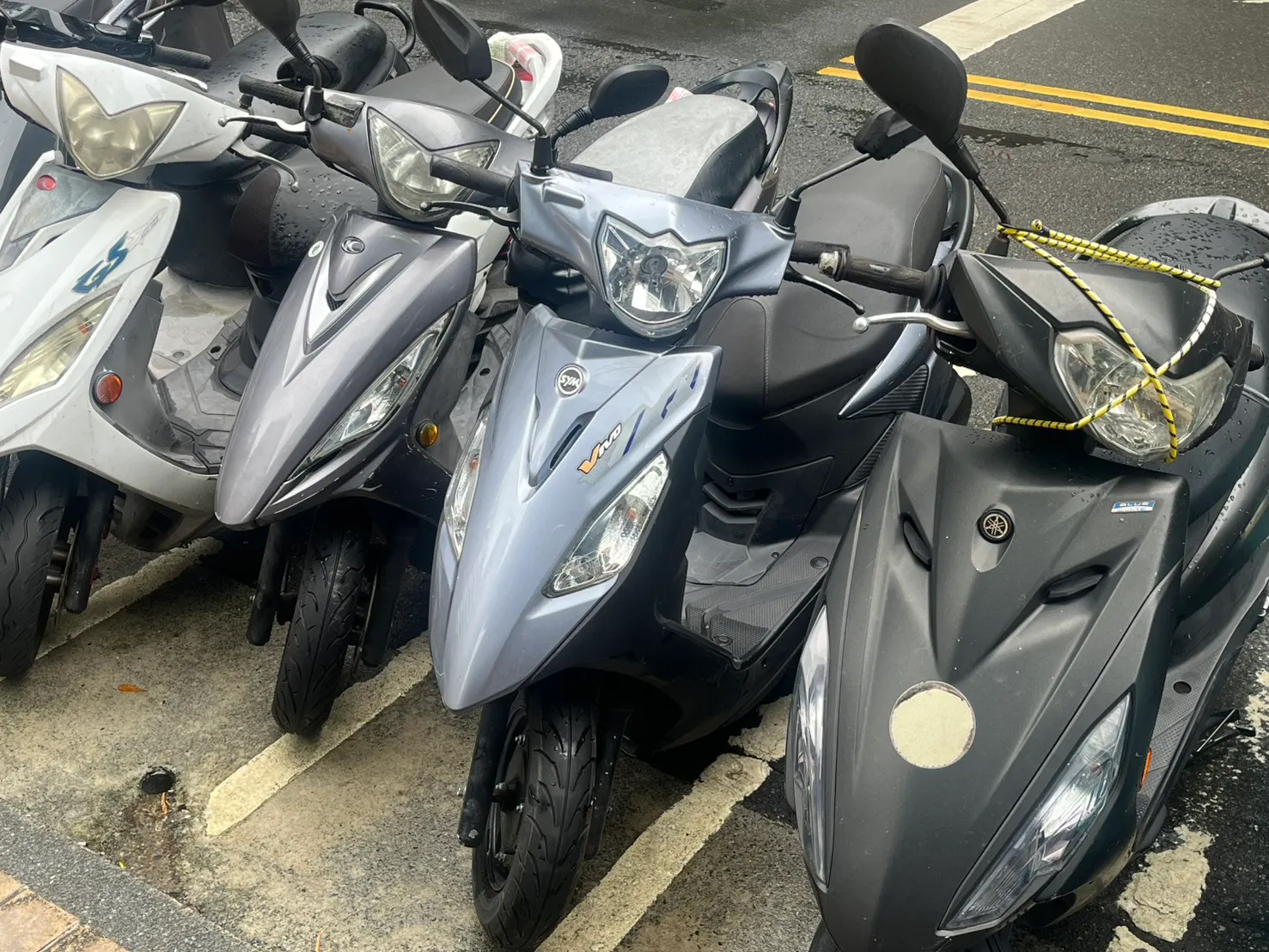 活力(中間淺藍色)