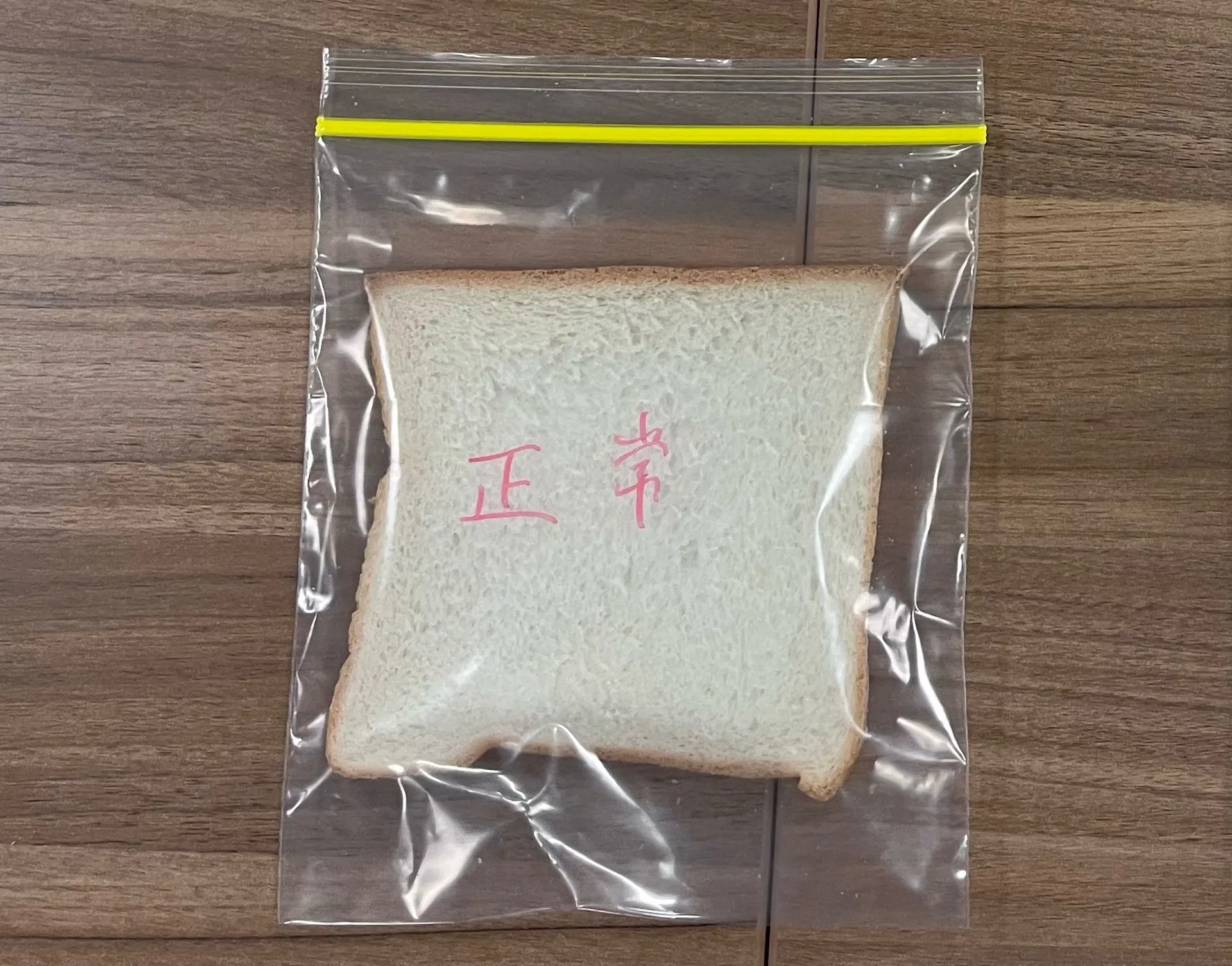 第一天對照組新鮮的麵包。（圖／香港01提供）