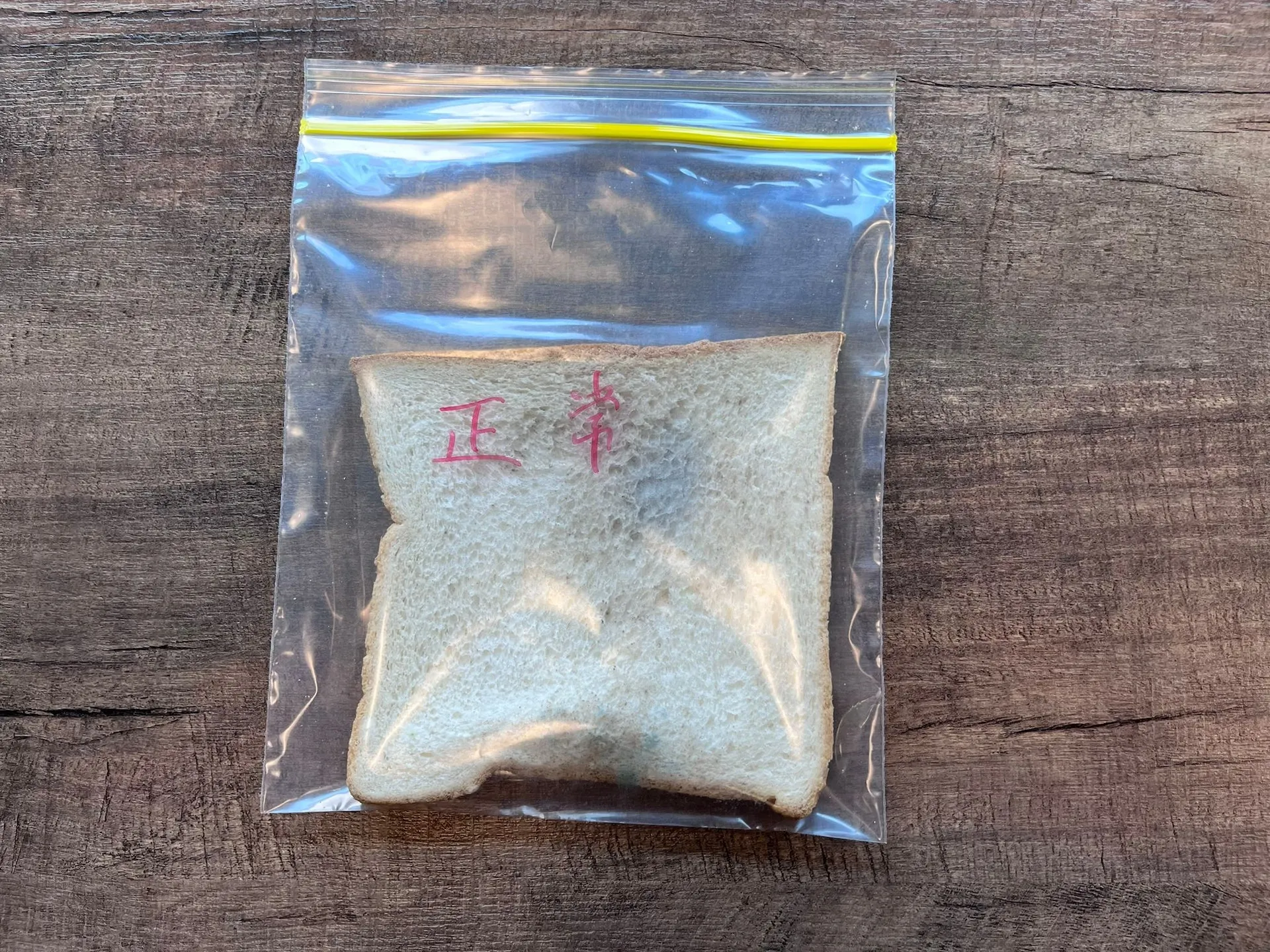 十天後的對照組麵包。（圖／香港01提供）