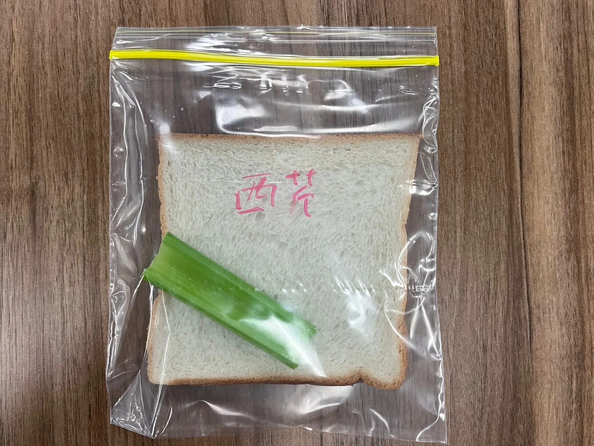 第一天的芹菜麵包。（圖／香港01提供）